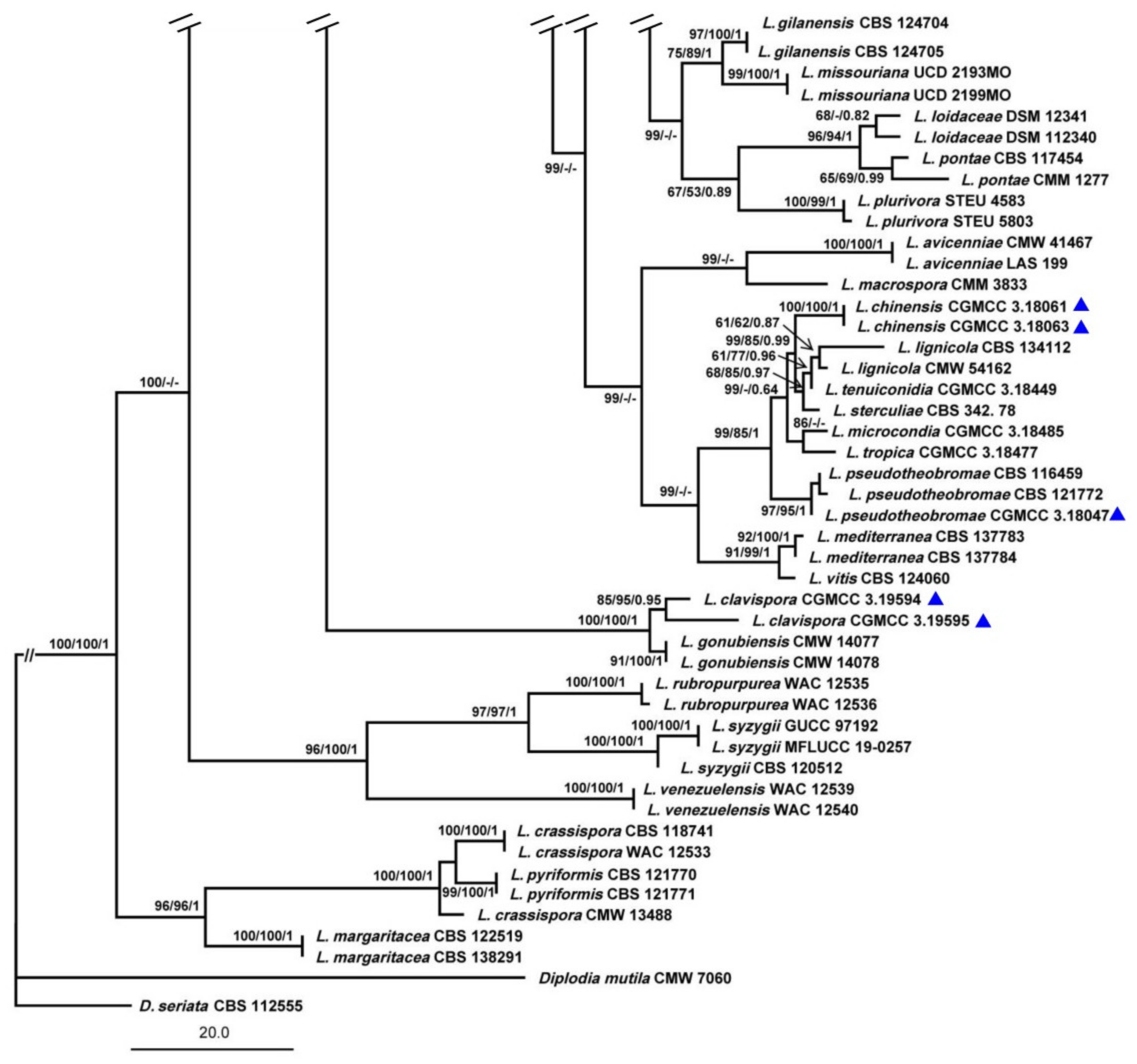 Biology 11 01459 g001c Biology 11 01459 g001c