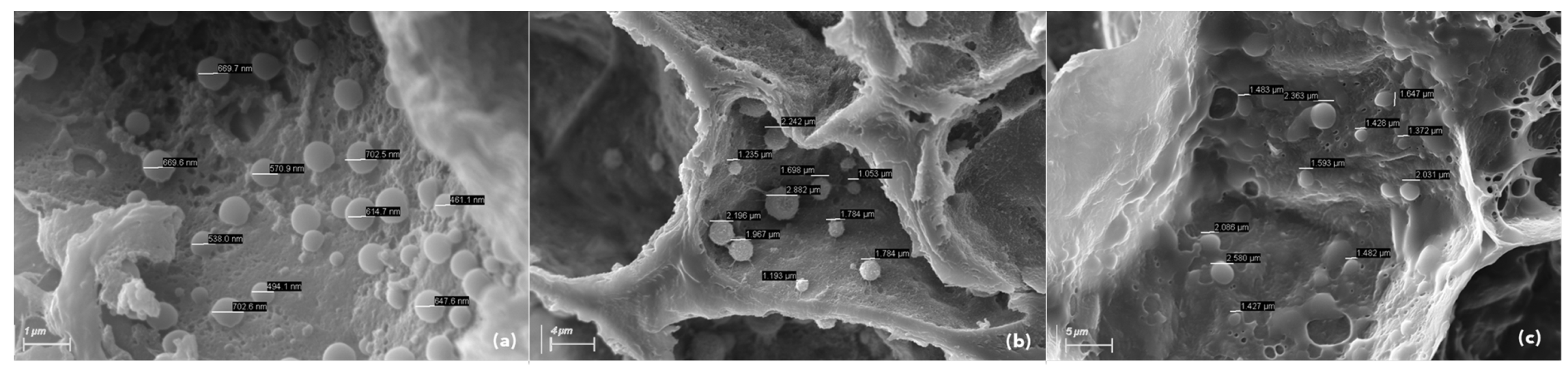 Biology 11 01494 g008 Biology 11 01494 g008