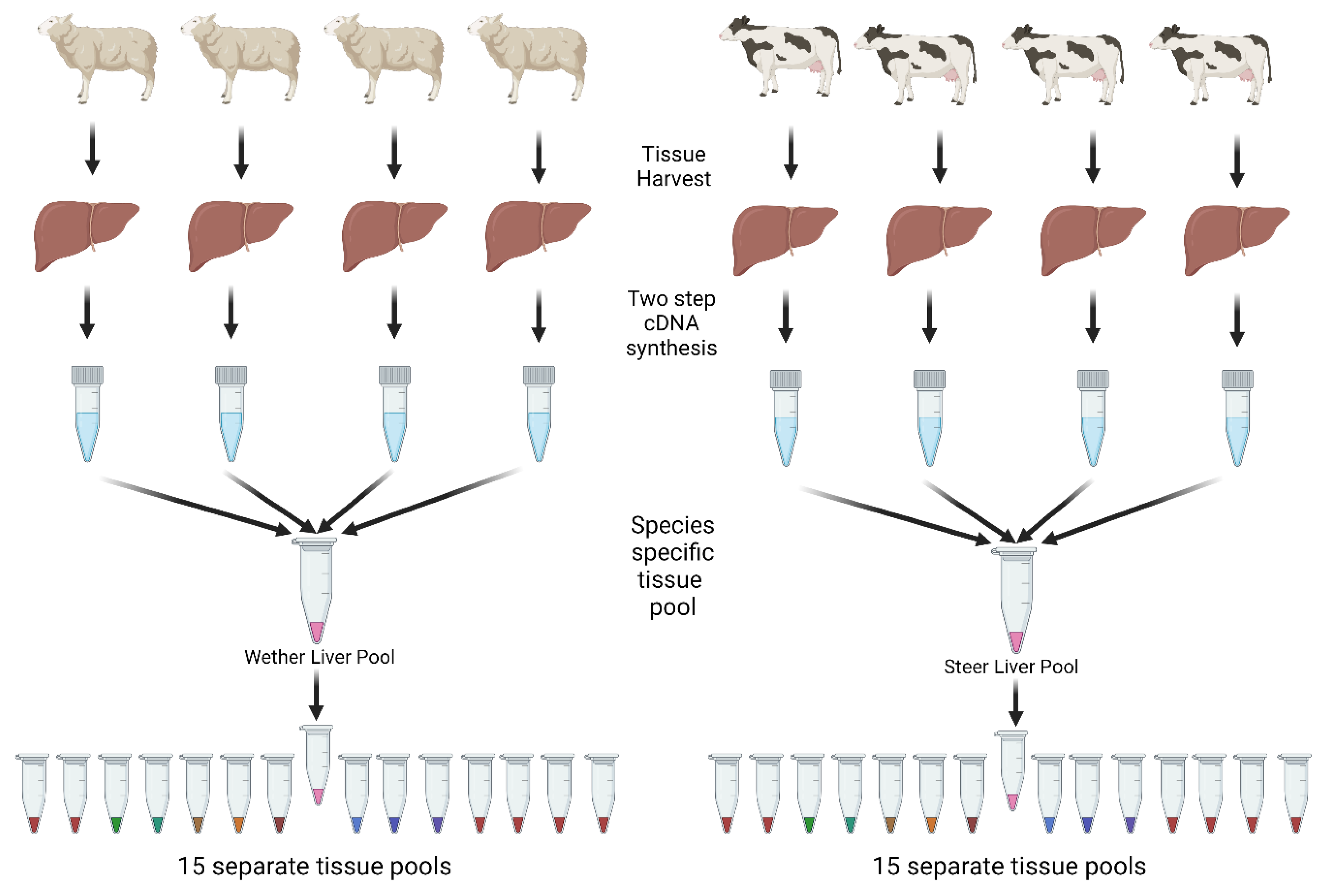 Biology 11 01512 g001