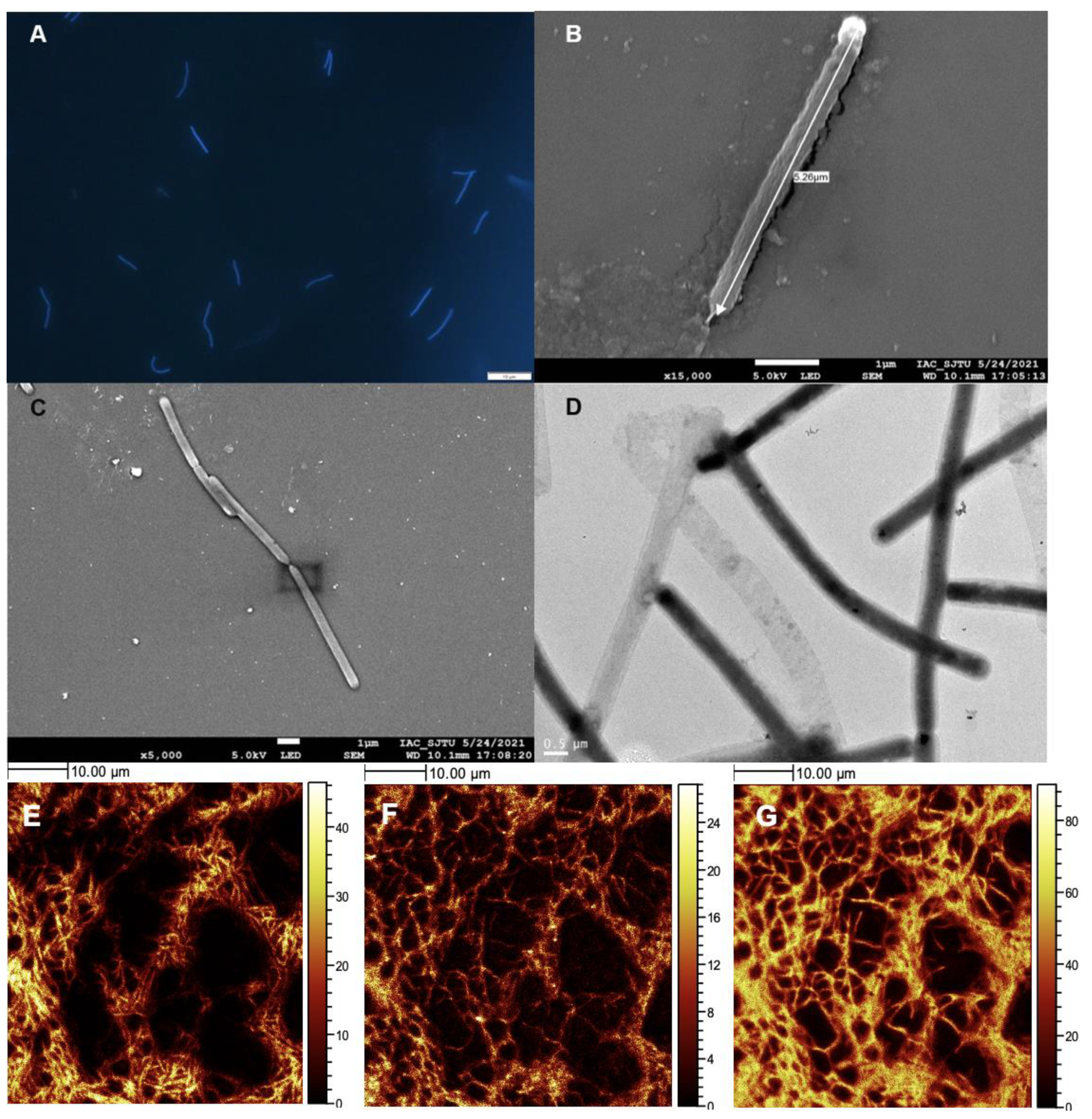 Biology 11 01514 g002 Biology 11 01514 g002