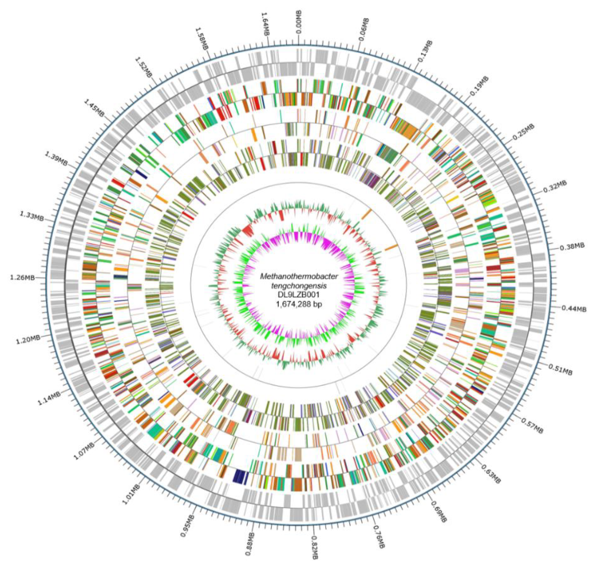 Biology 11 01514 g004 Biology 11 01514 g004