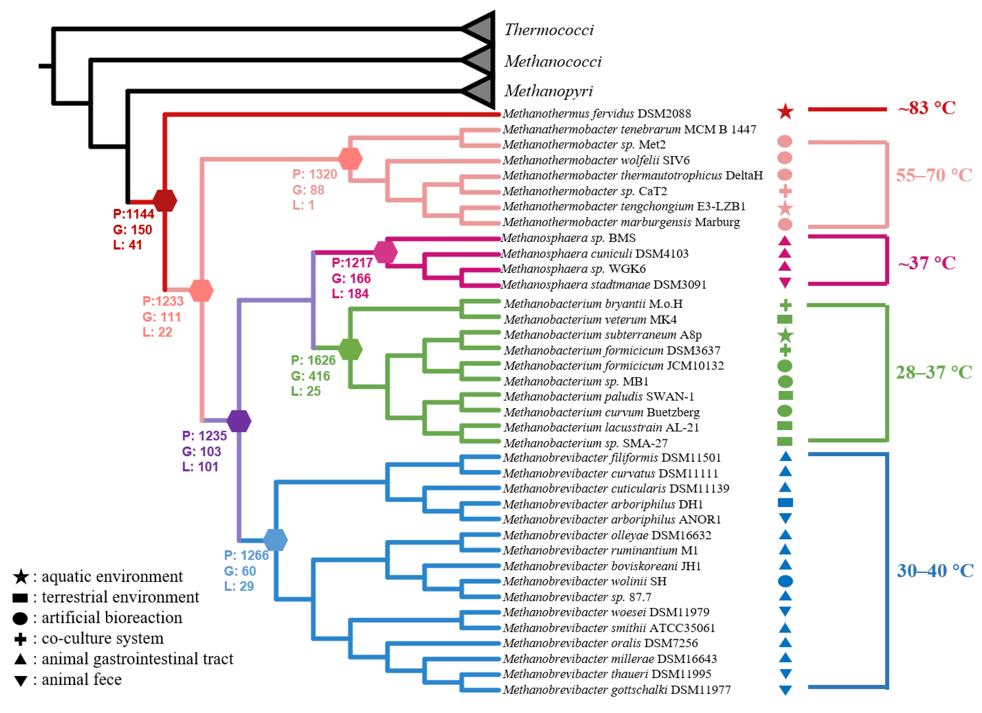 Biology 11 01514 g007 Biology 11 01514 g007