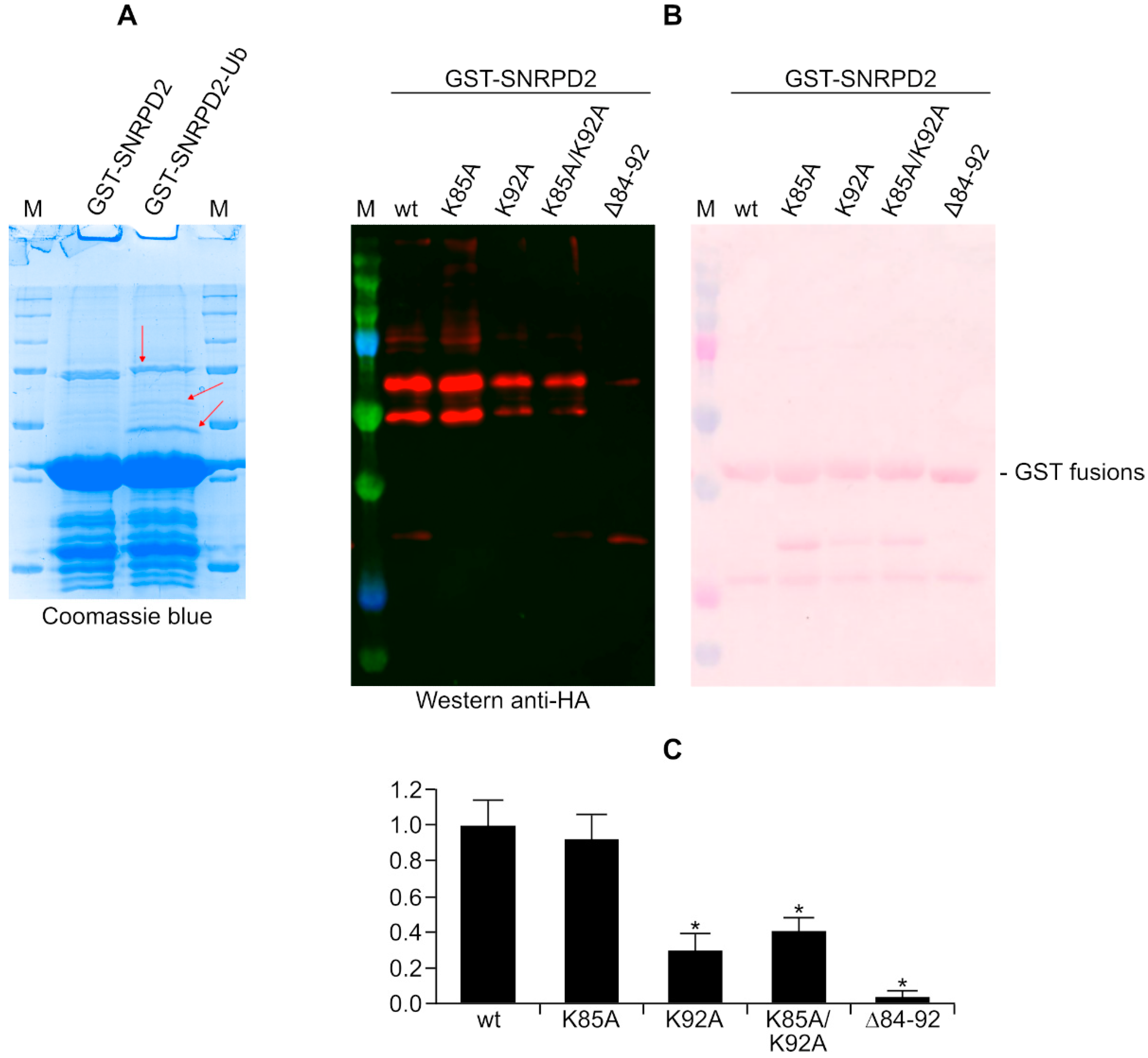 Biology 11 01517 g006 Biology 11 01517 g006