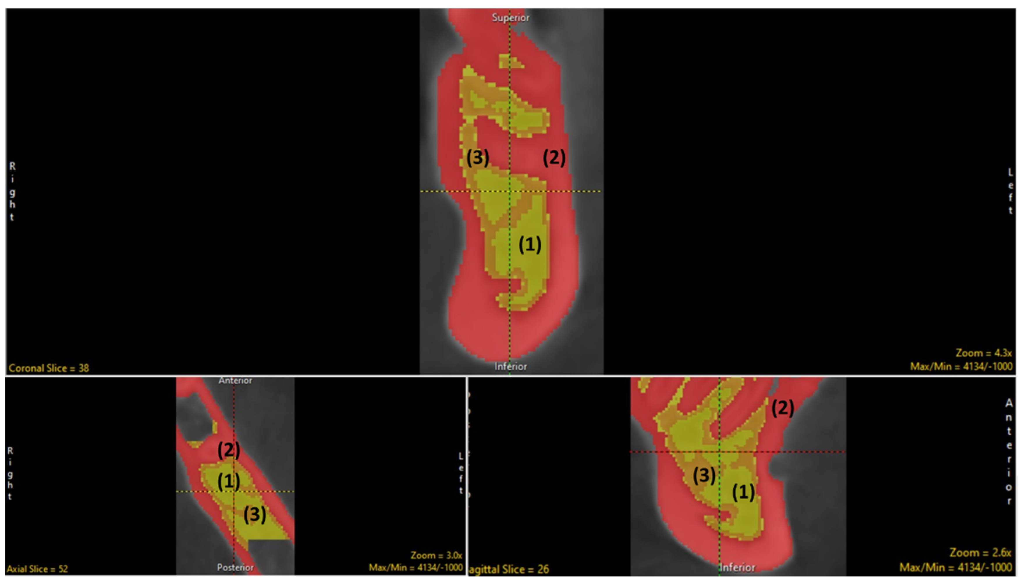 Biology 11 01521 g004 Biology 11 01521 g004