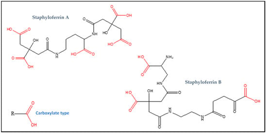 Staphylococcus Aureus - Stepwards