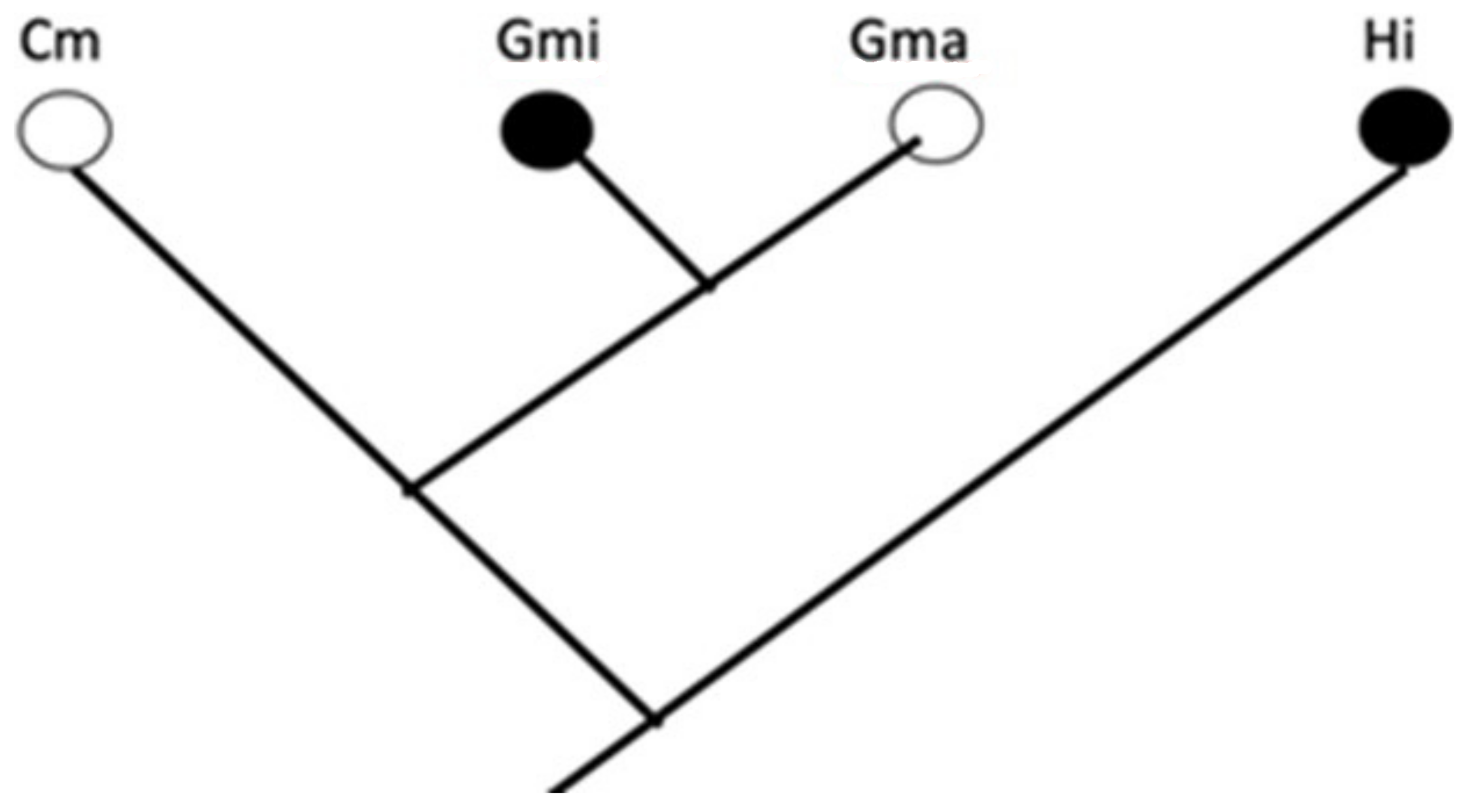 Biology 11 01532 g002