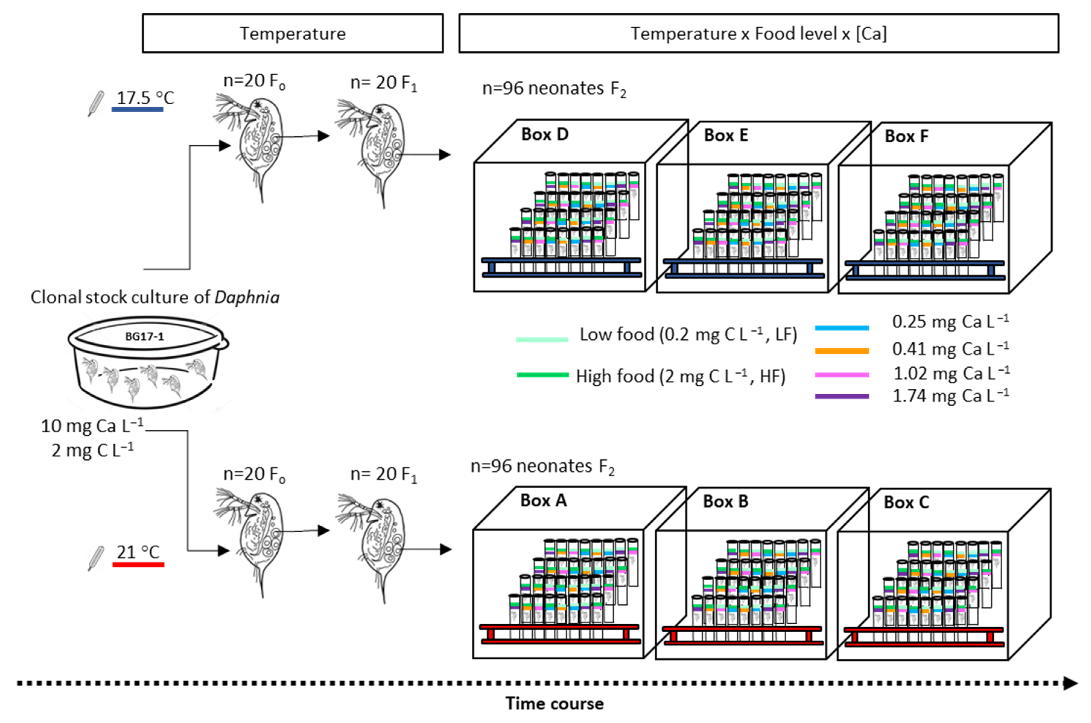Biology 11 01539 g002