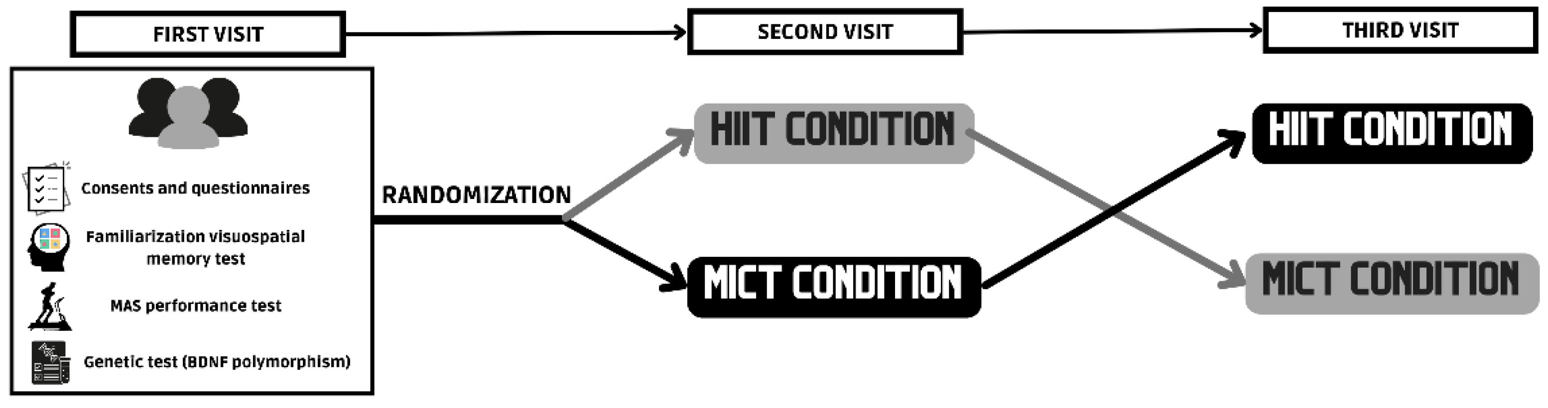 Biology 11 01541 g001 Biology 11 01541 g001