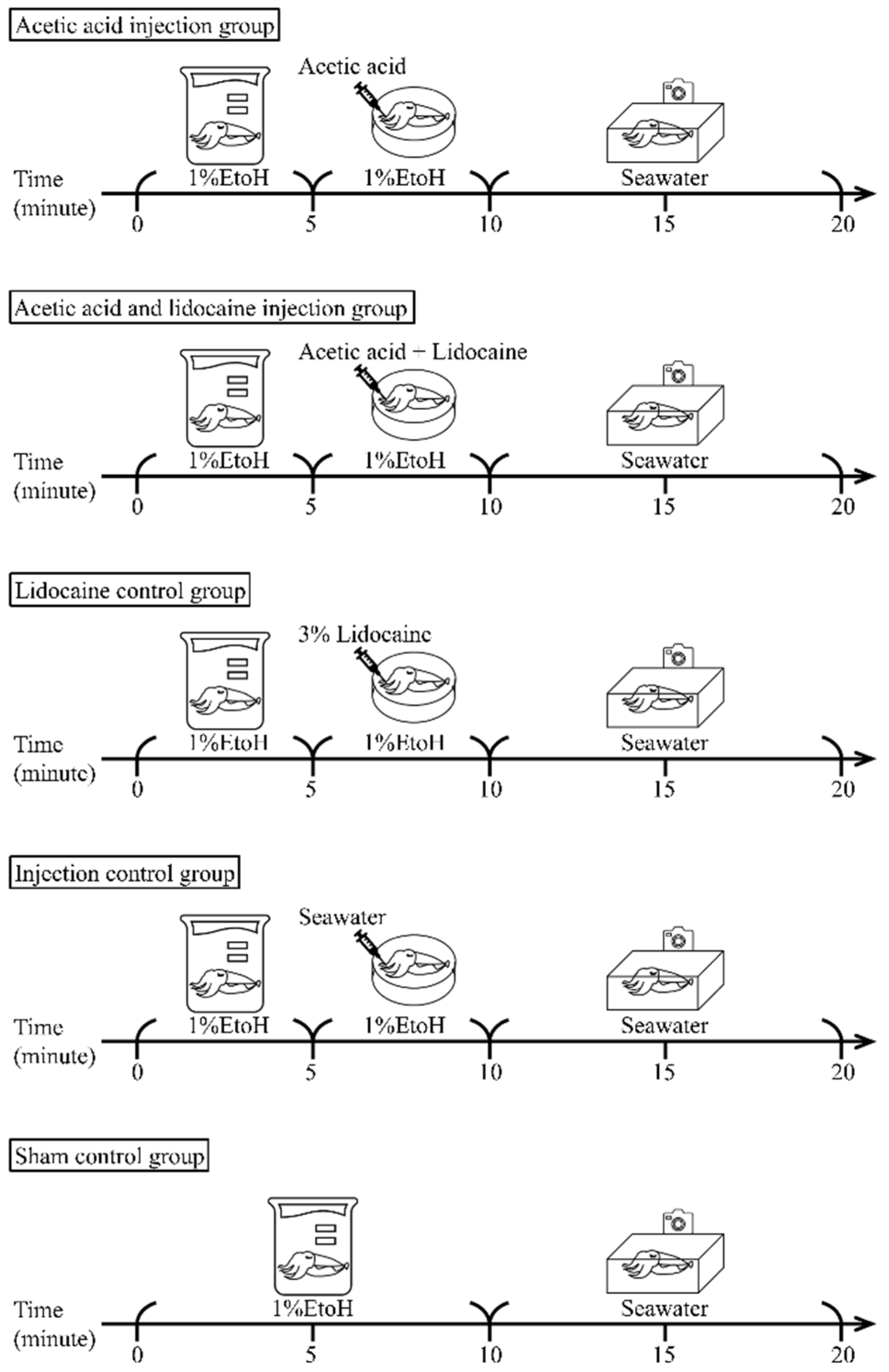 Biology 11 01560 g002 Biology 11 01560 g002