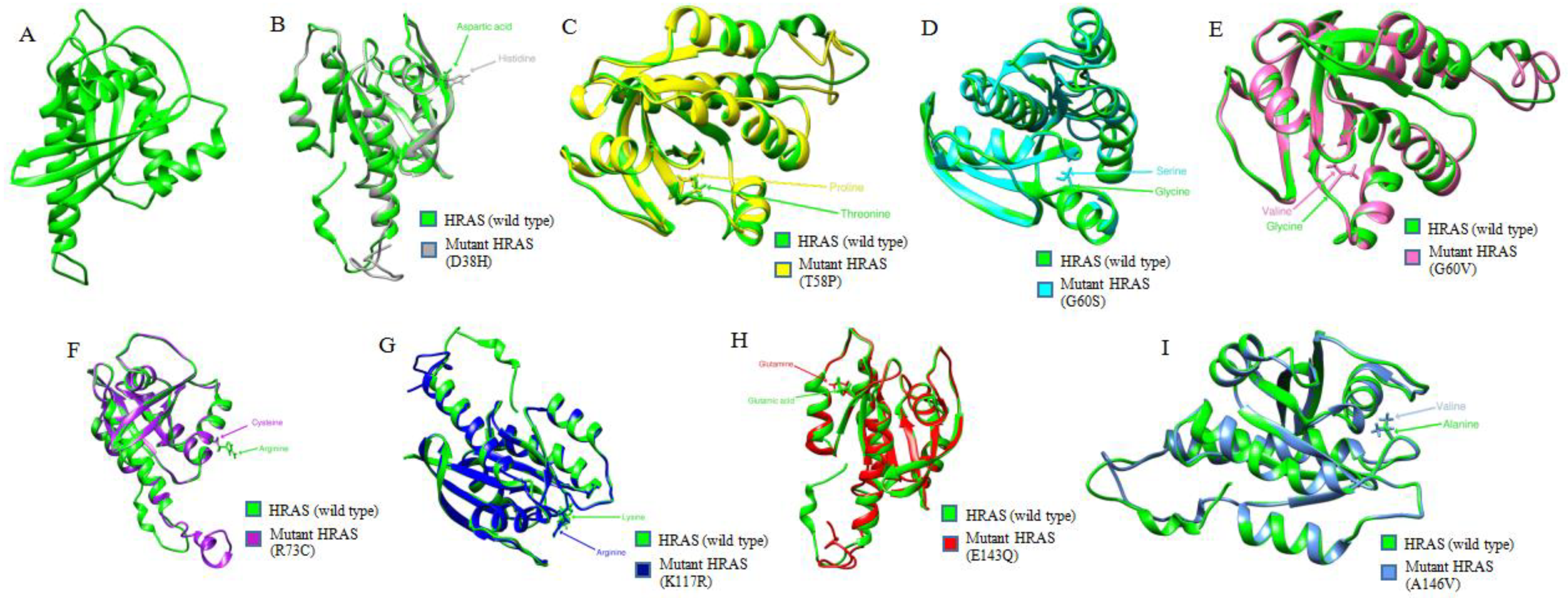 Biology 11 01604 g002