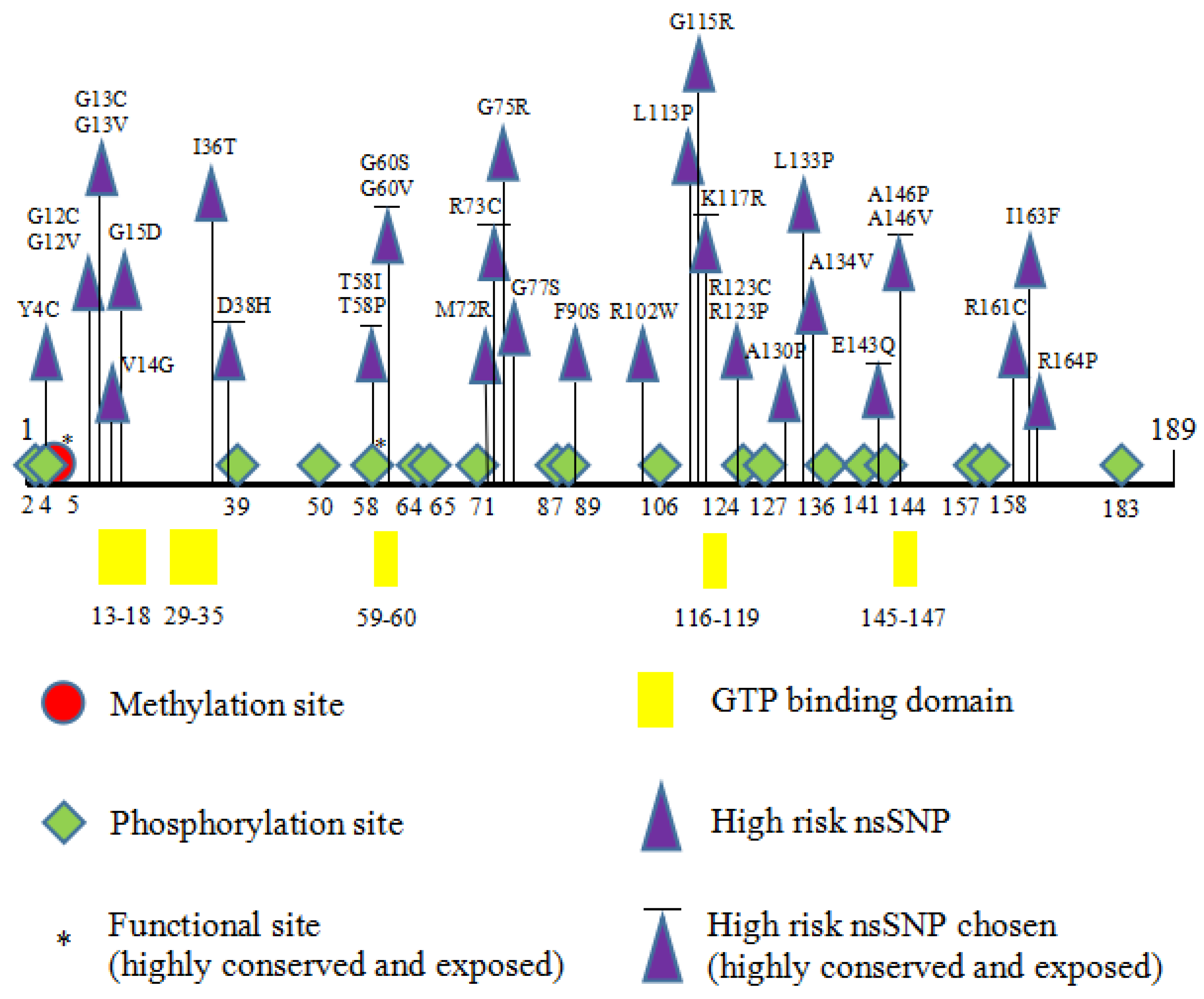 Biology 11 01604 g003