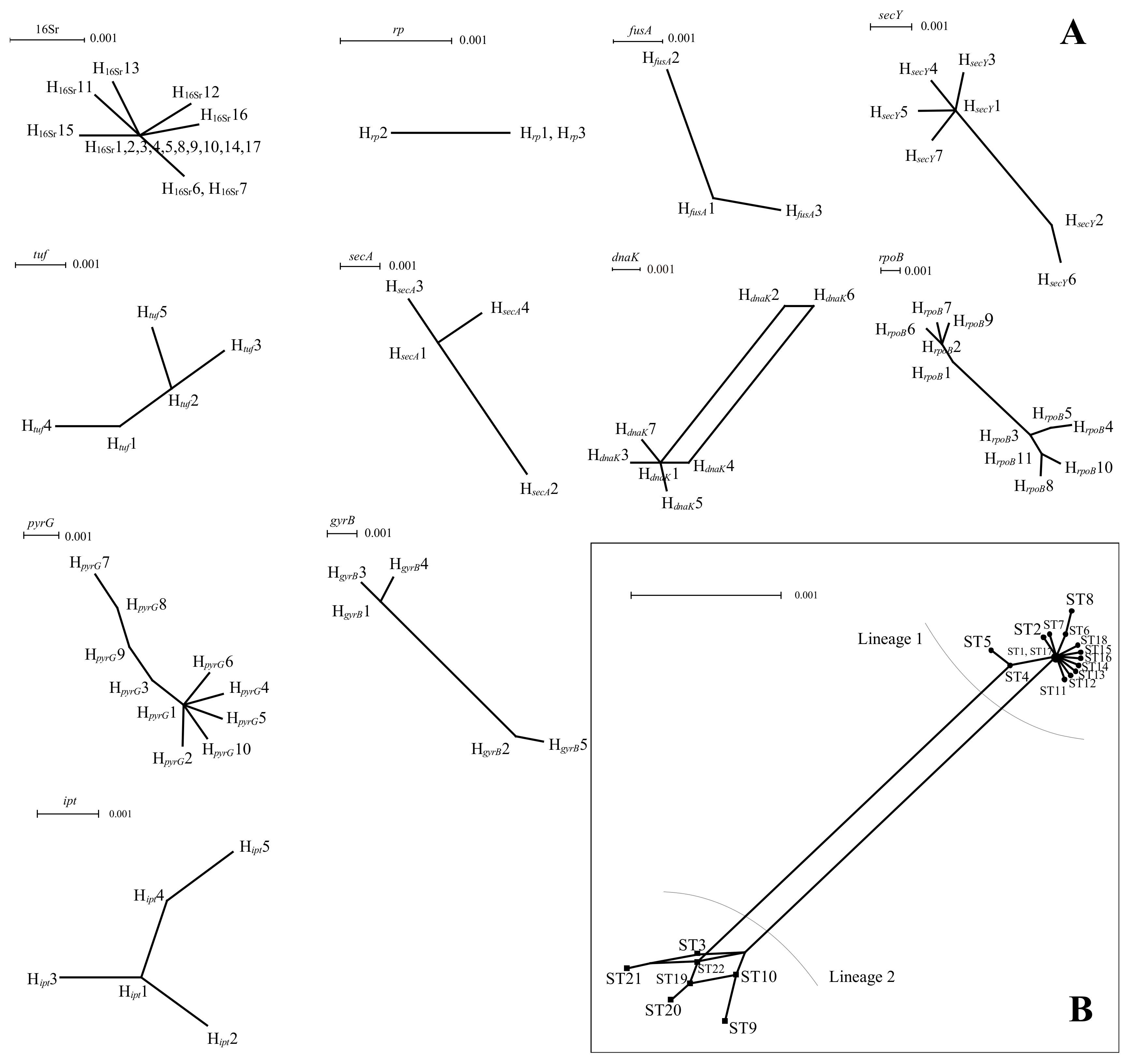 Biology 11 01611 g003 Biology 11 01611 g003