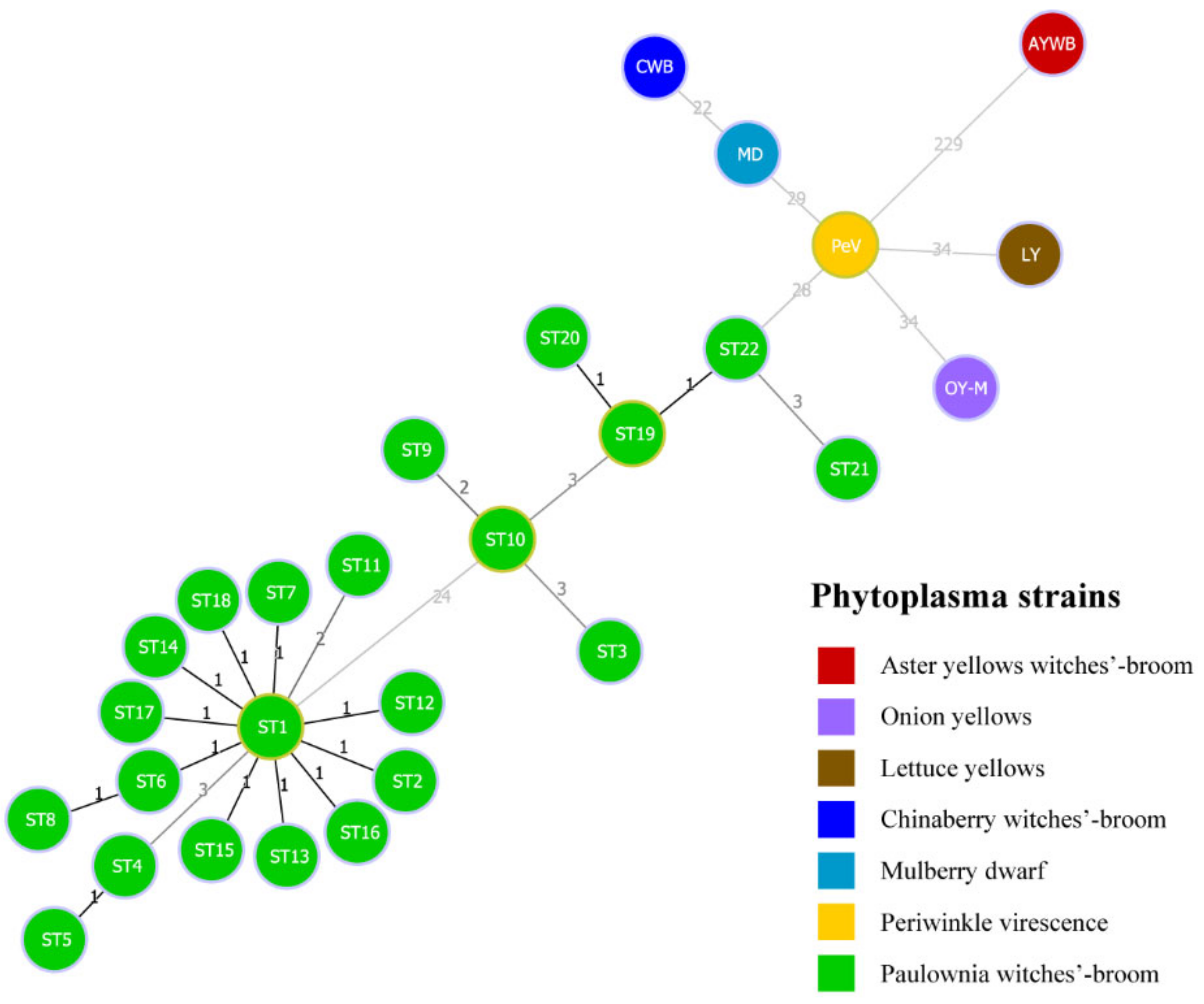 Biology 11 01611 g005 Biology 11 01611 g005