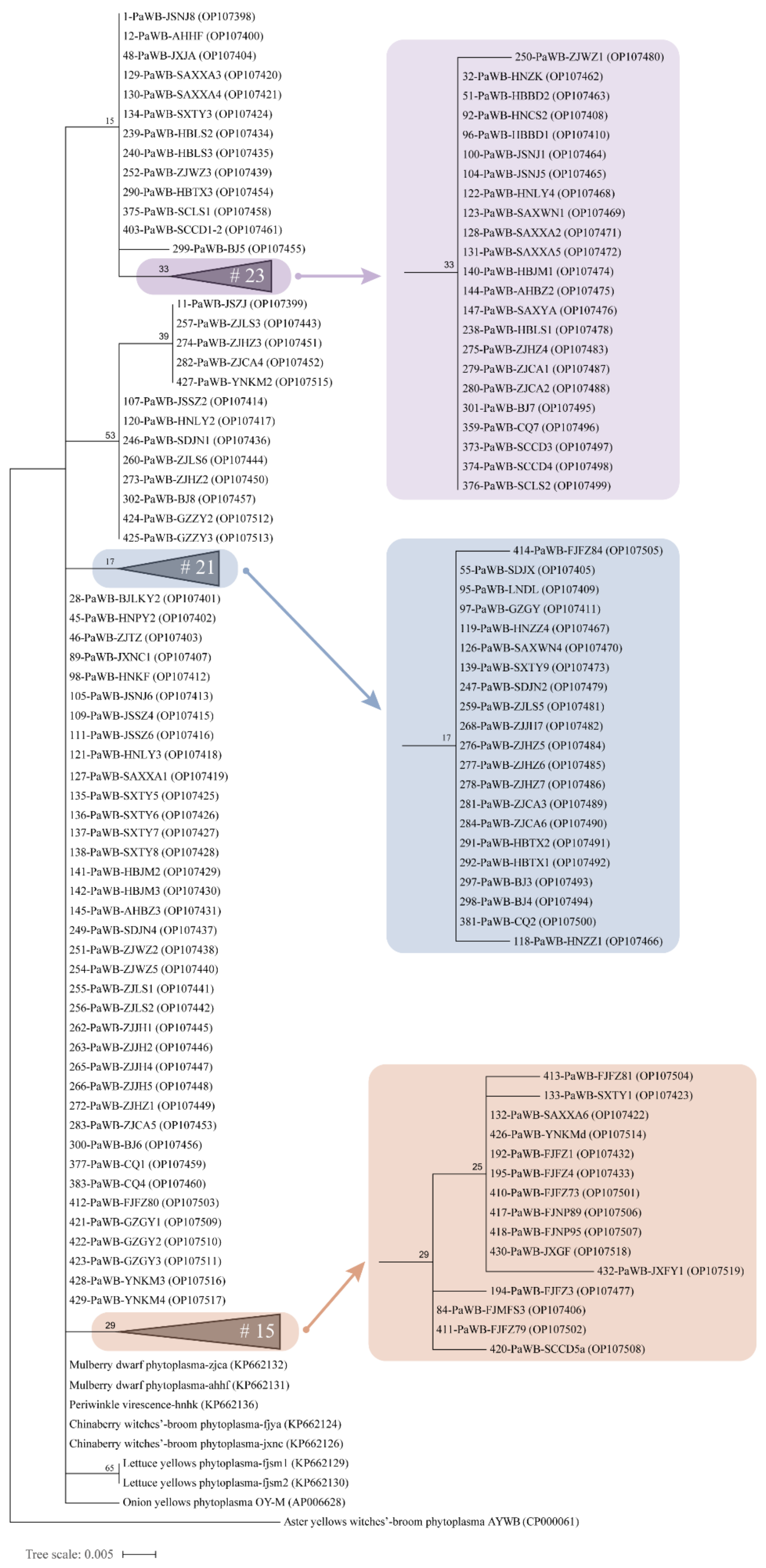 Biology 11 01611 g007 Biology 11 01611 g007