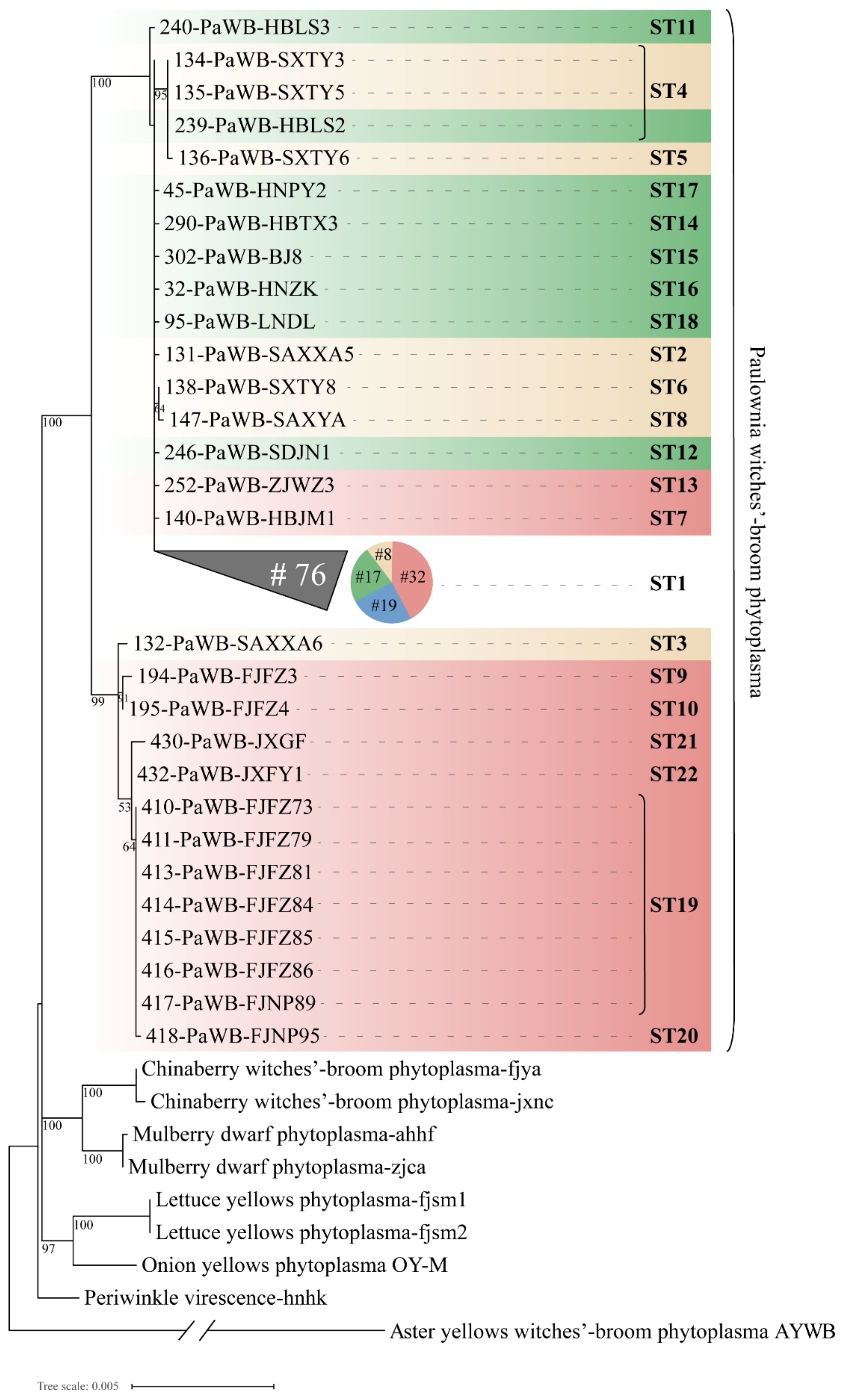Biology 11 01611 g008 Biology 11 01611 g008
