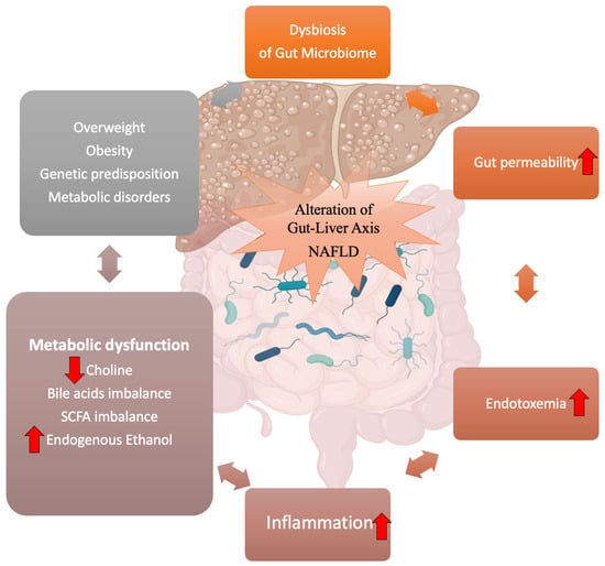 Biology | Free Full-Text | Gut–Liver Axis and Non-Alcoholic Fatty Liver ...