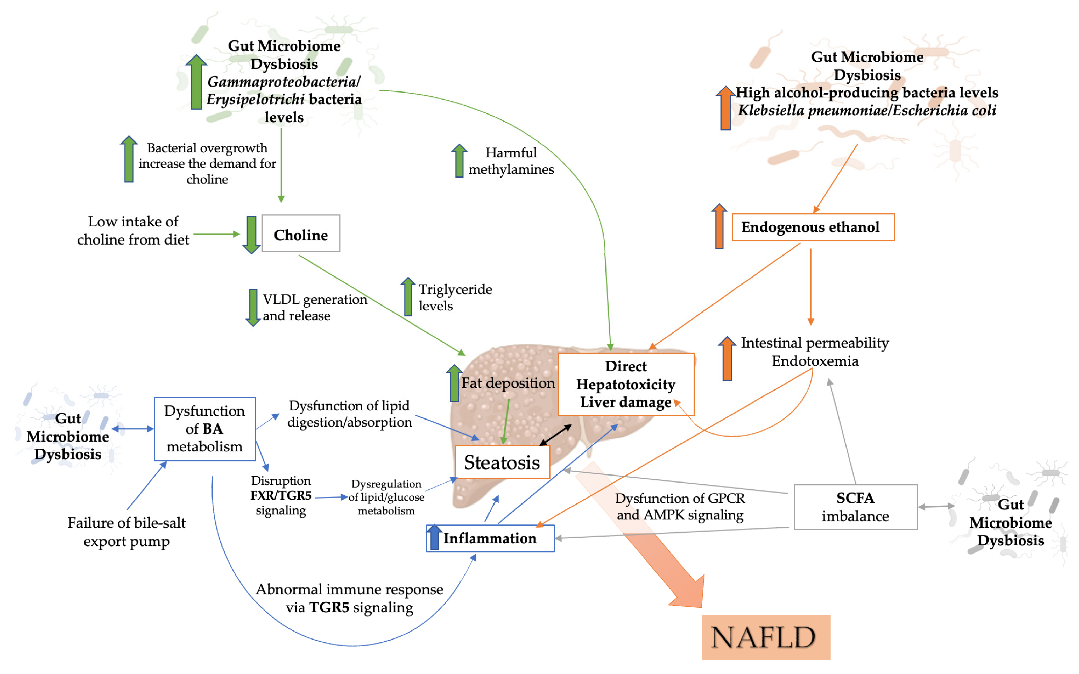 Biology 11 01622 g003 Biology 11 01622 g003