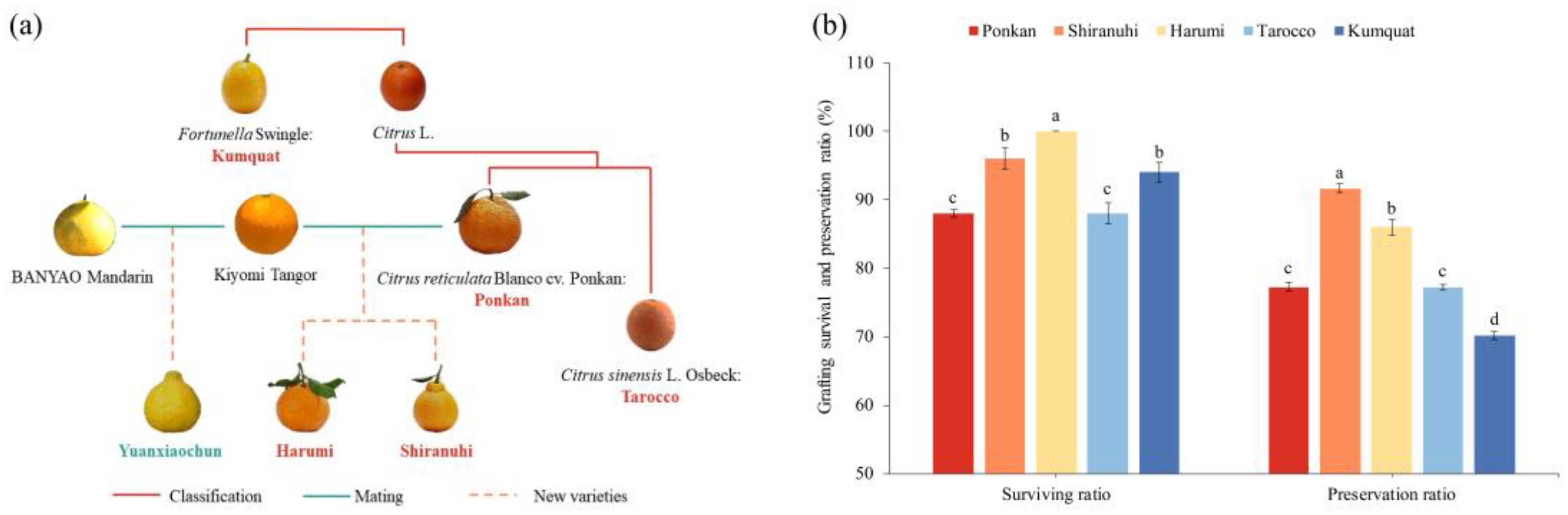 Biology 11 01639 g001