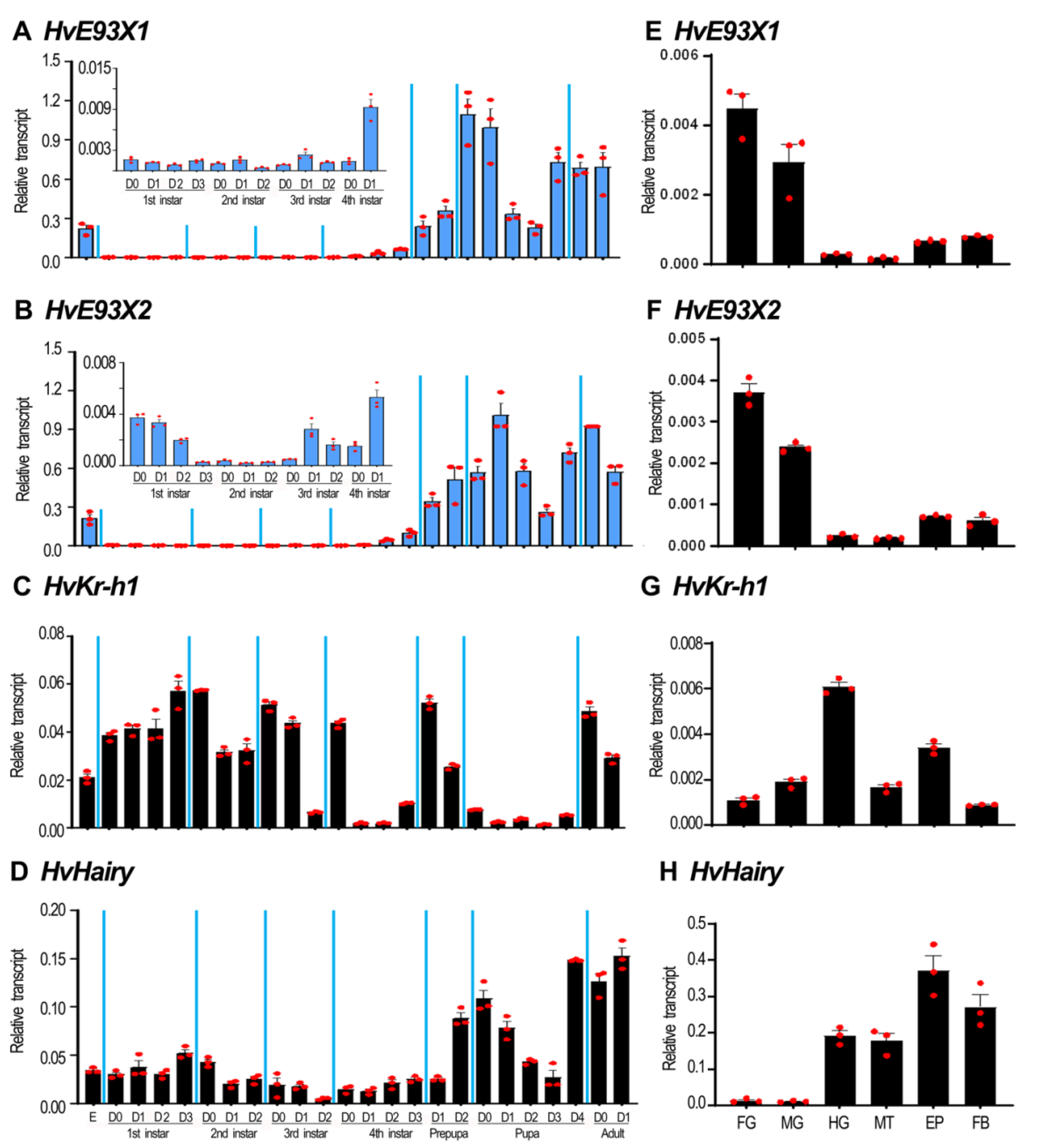 Biology | Free Full-Text | Knockdown of Ecdysone-Induced Protein ...