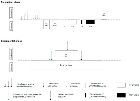 Effects of neuromuscular electrical stimulation and voluntary commands on  the spinal reflex excitability of remote limb muscles