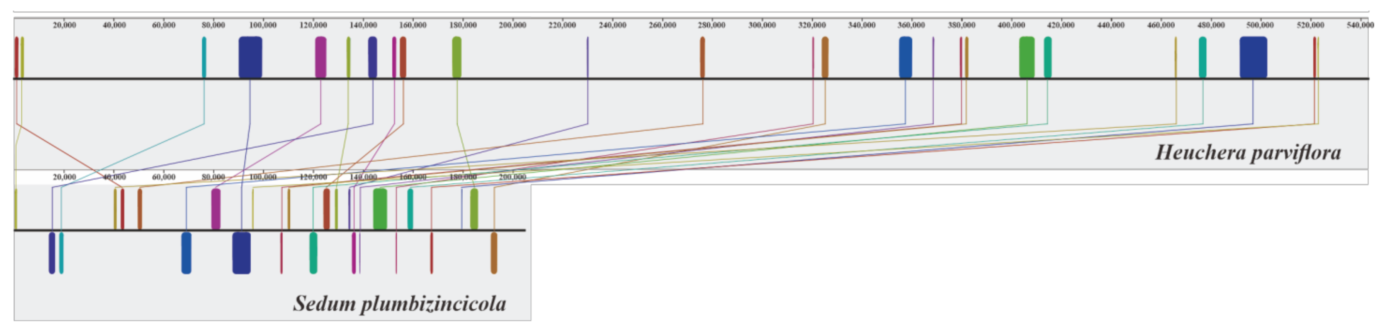 Biology 11 01661 g002 Biology 11 01661 g002