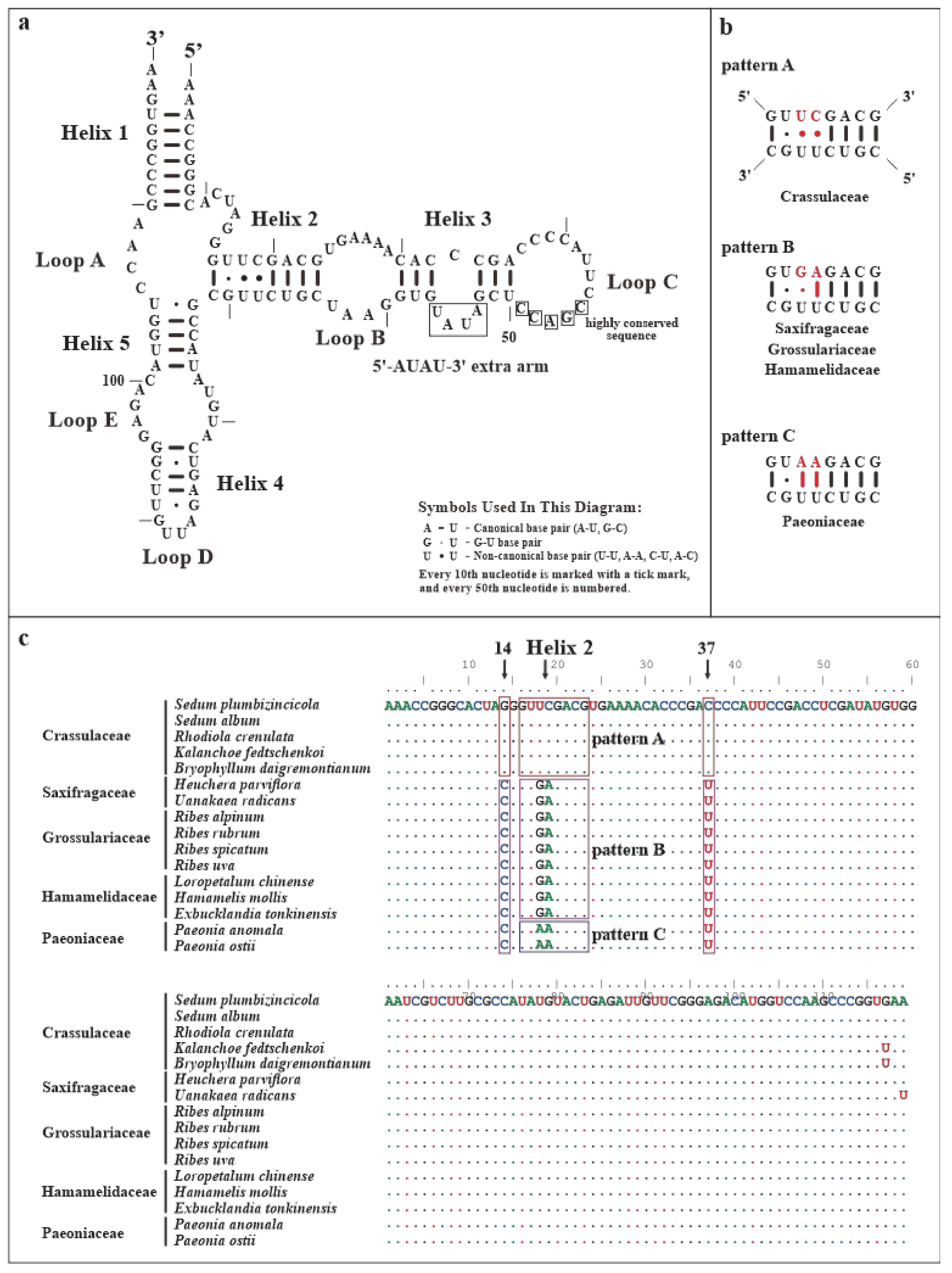 Biology 11 01661 g007 Biology 11 01661 g007