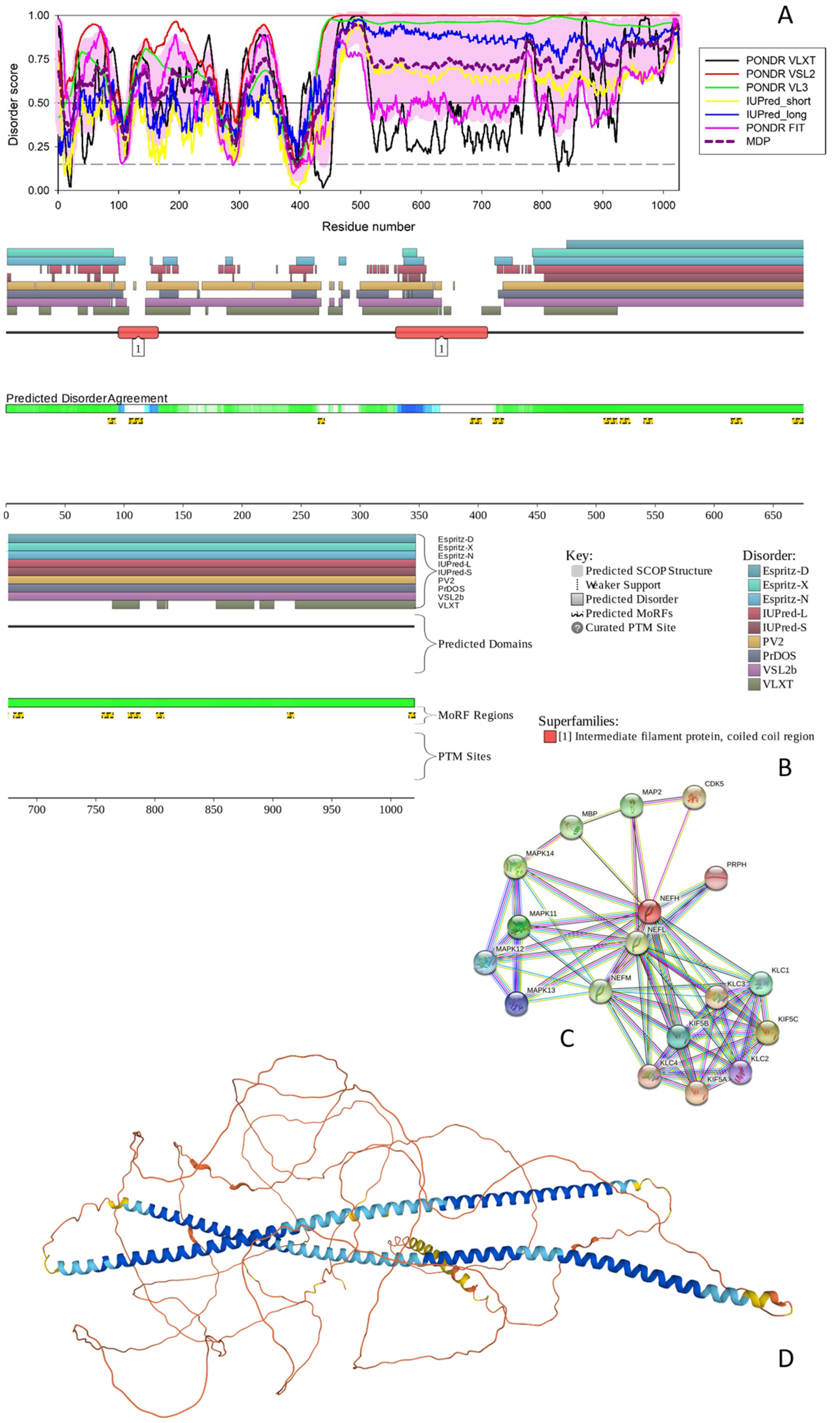 Biology 11 01704 g001 Biology 11 01704 g001