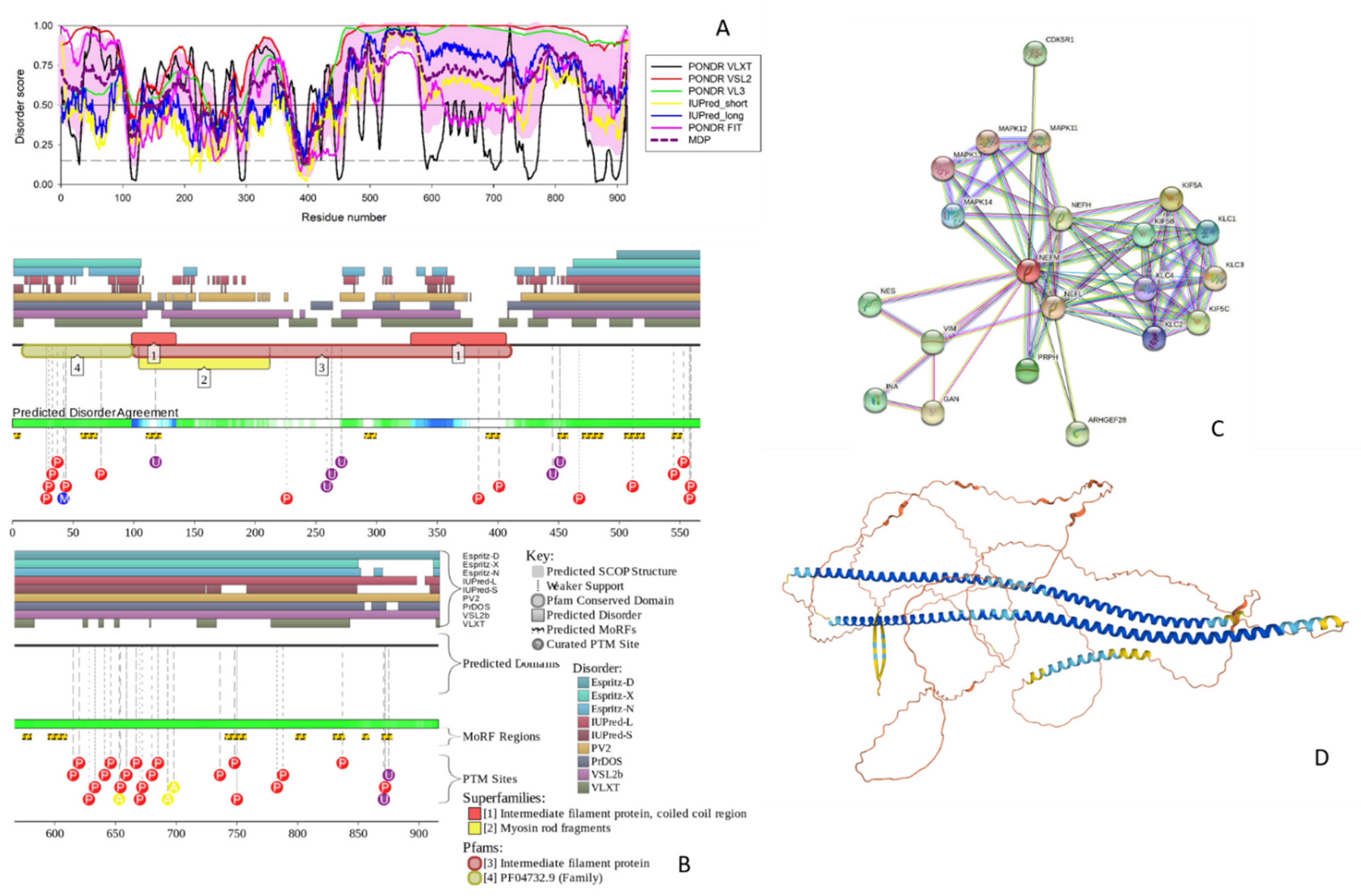 Biology 11 01704 g002 Biology 11 01704 g002