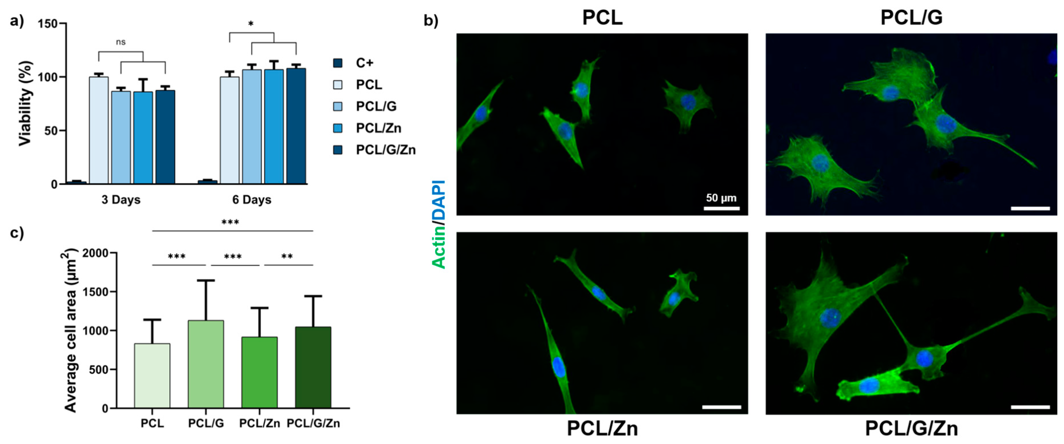 Biology 11 01706 g003 Biology 11 01706 g003