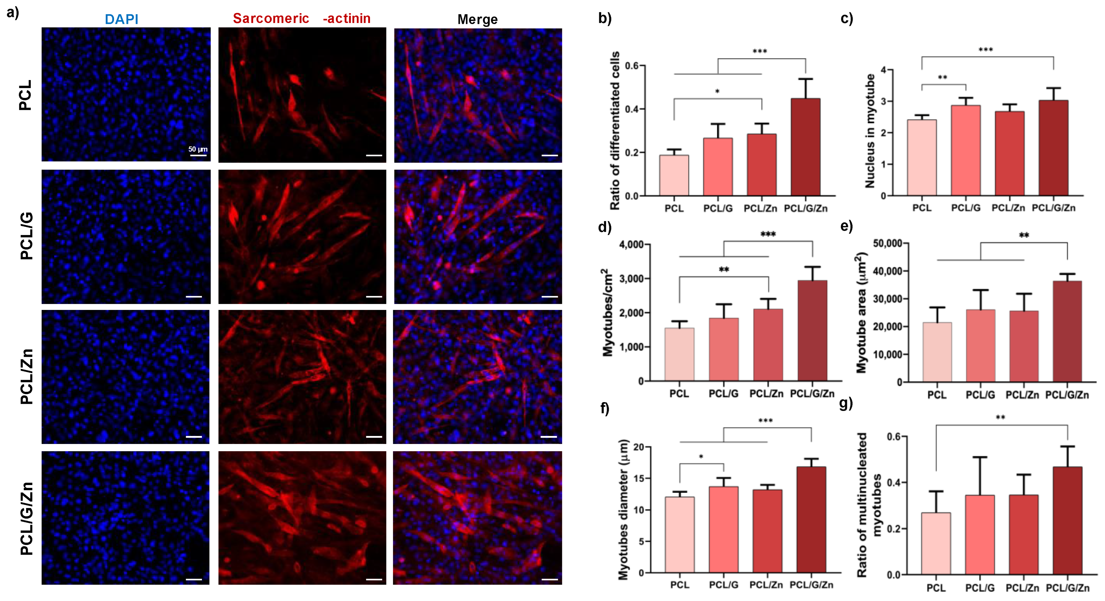 Biology 11 01706 g006 Biology 11 01706 g006