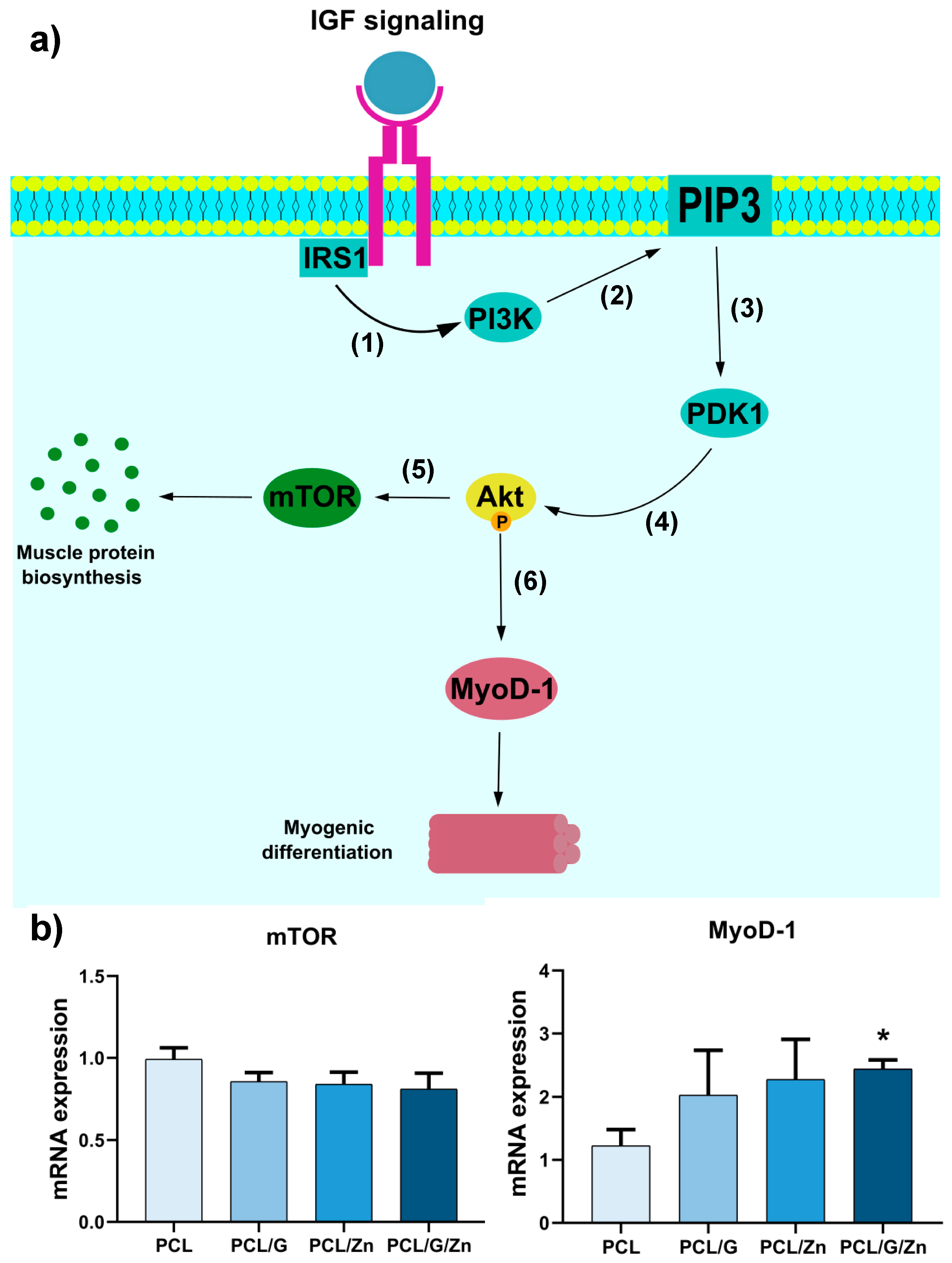 Biology 11 01706 g007 Biology 11 01706 g007