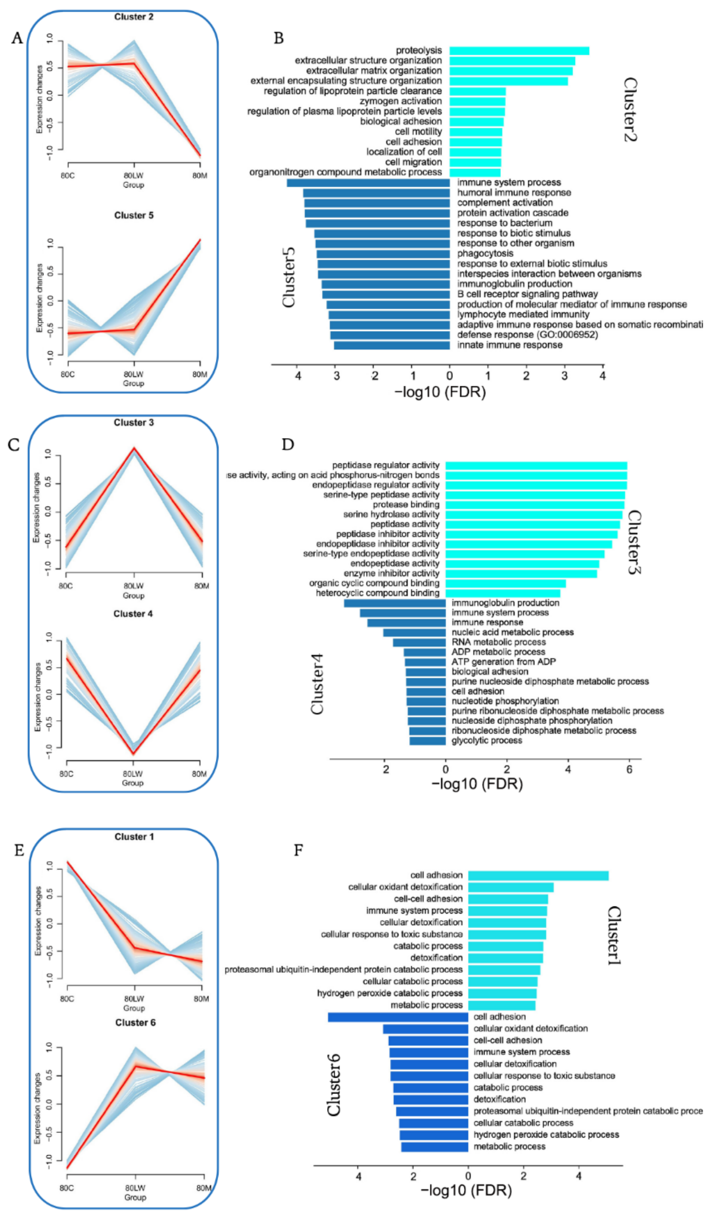 Biology 11 01708 g002 Biology 11 01708 g002