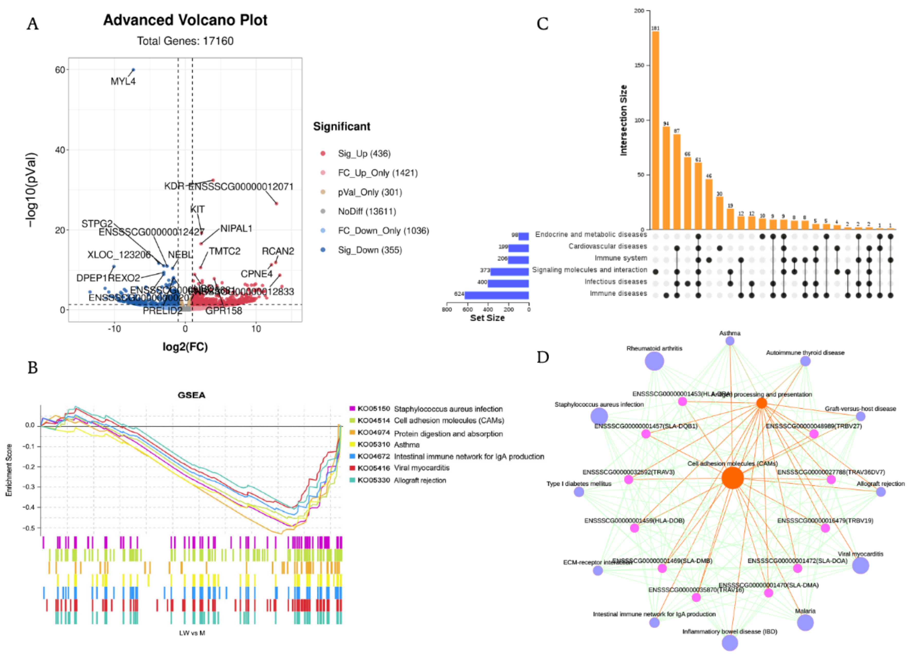 Biology 11 01708 g003 Biology 11 01708 g003