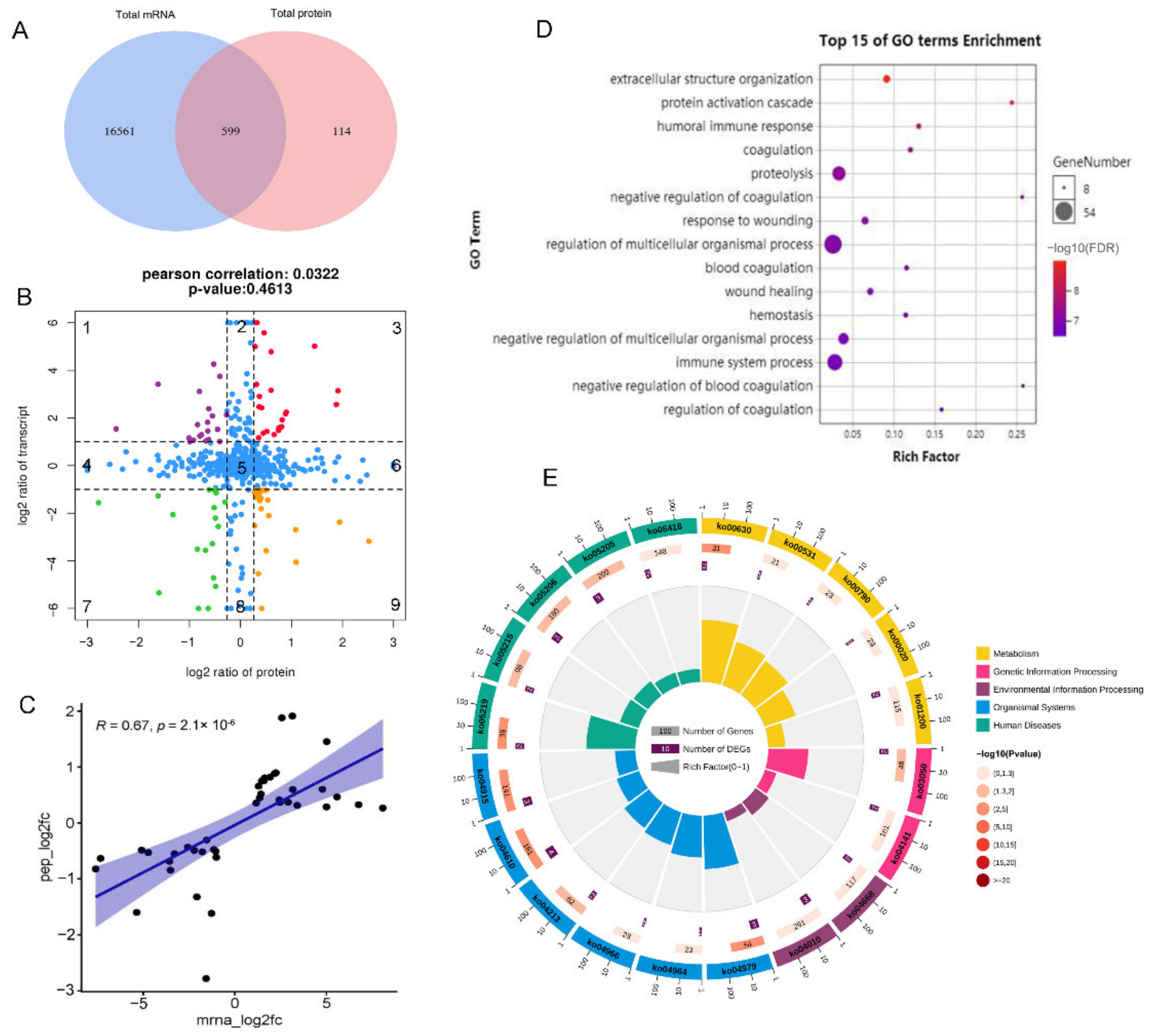 Biology 11 01708 g004 Biology 11 01708 g004