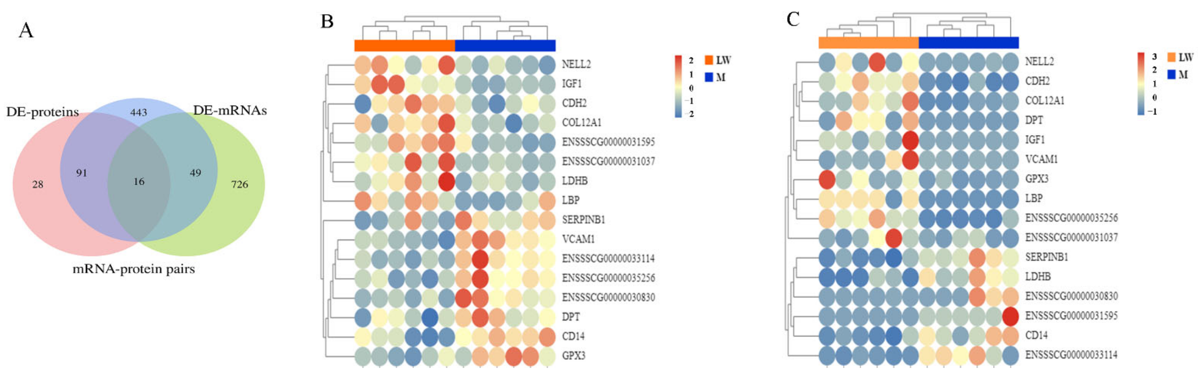 Biology 11 01708 g005 Biology 11 01708 g005