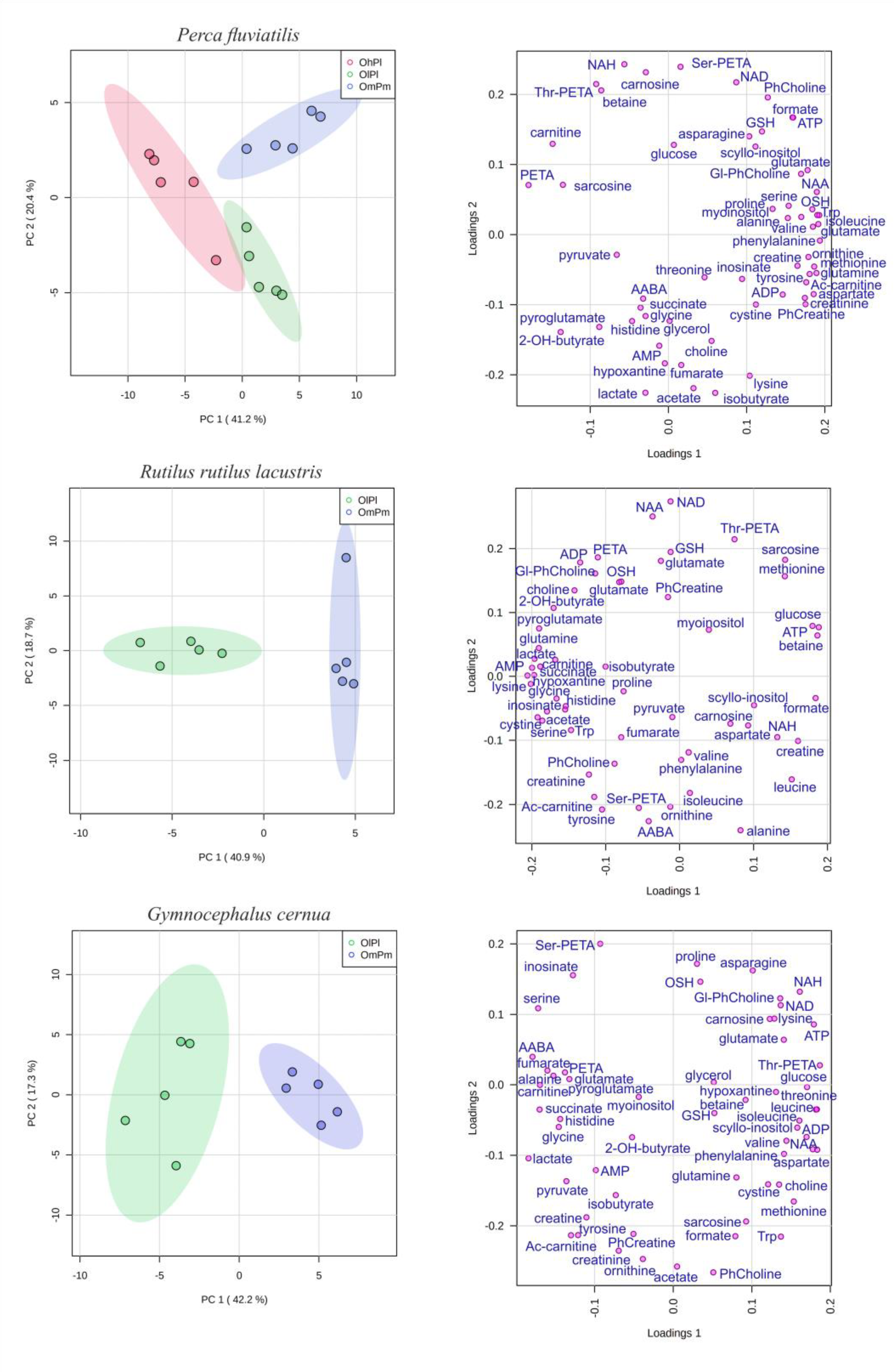 Biology 11 01709 g001