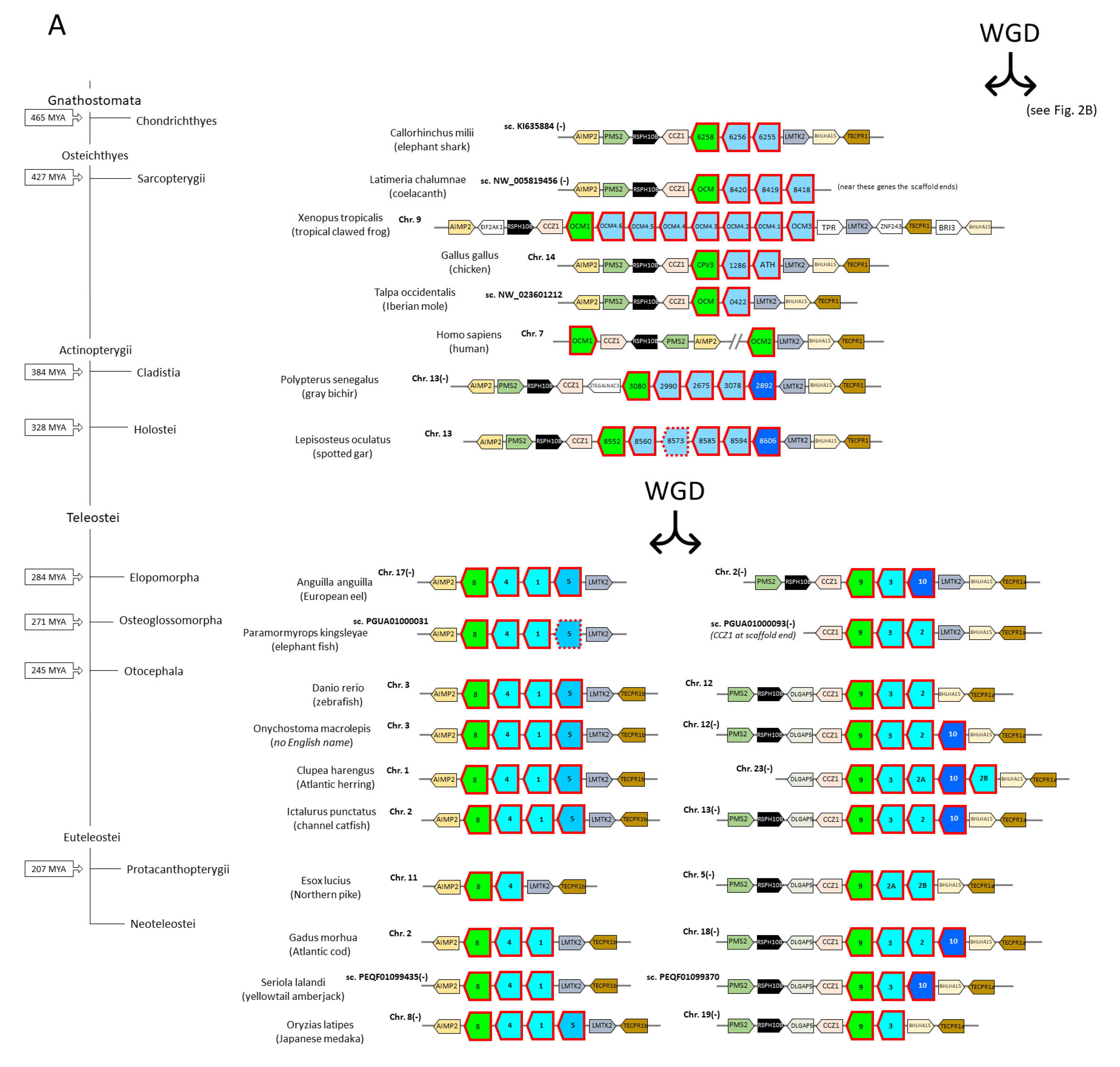 Biology 11 01713 g002a
