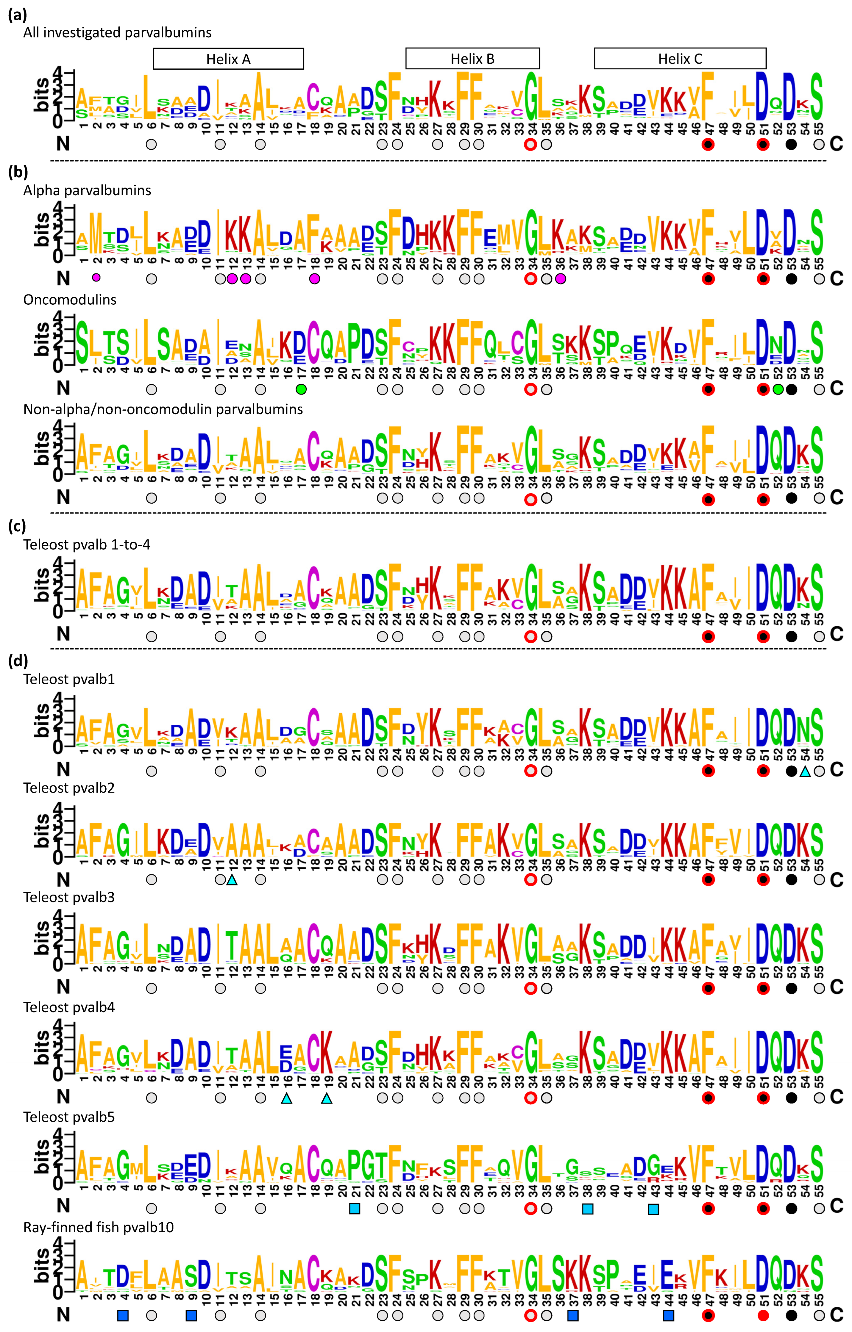 Biology 11 01713 g003a