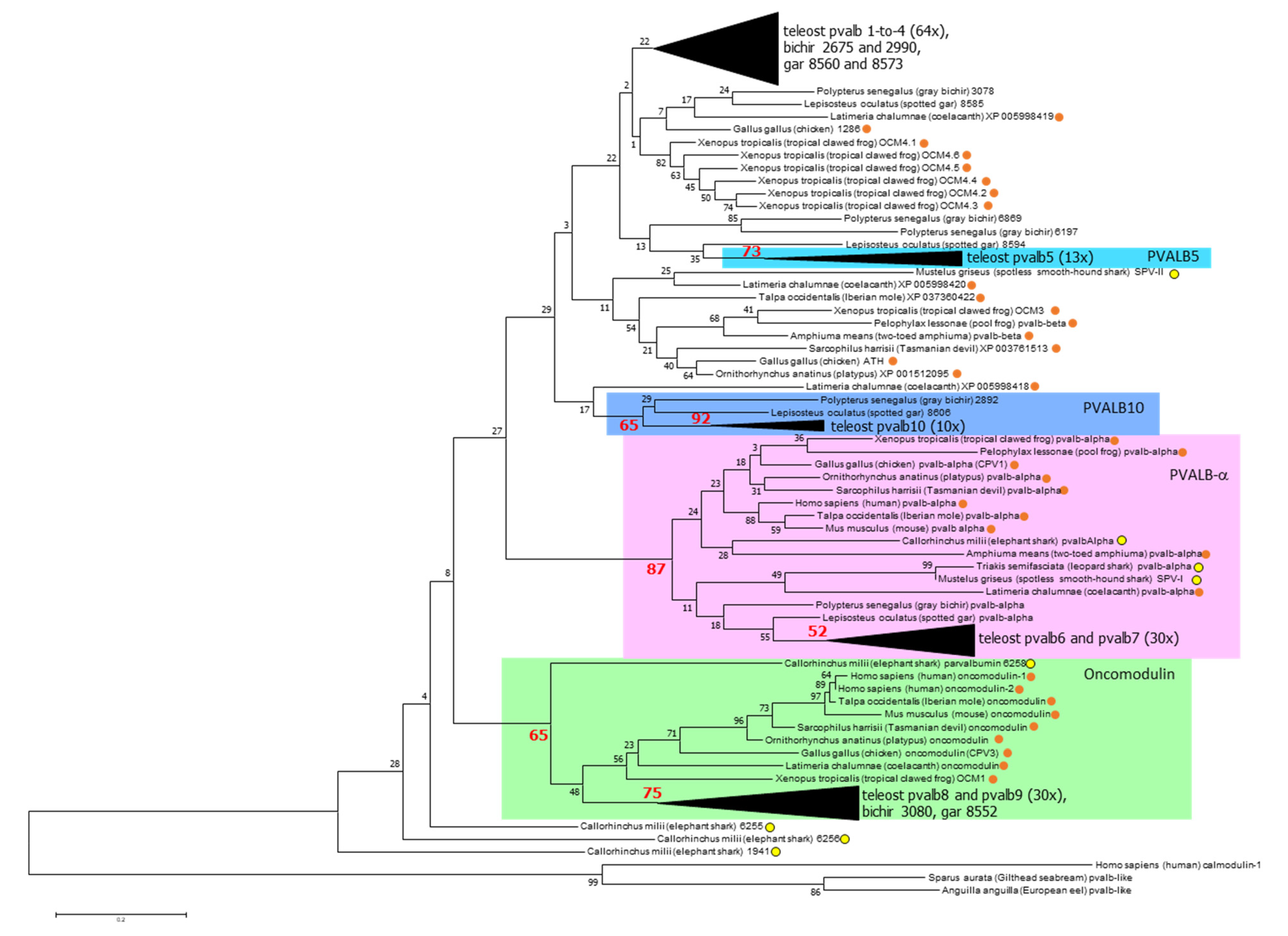 Biology 11 01713 g004