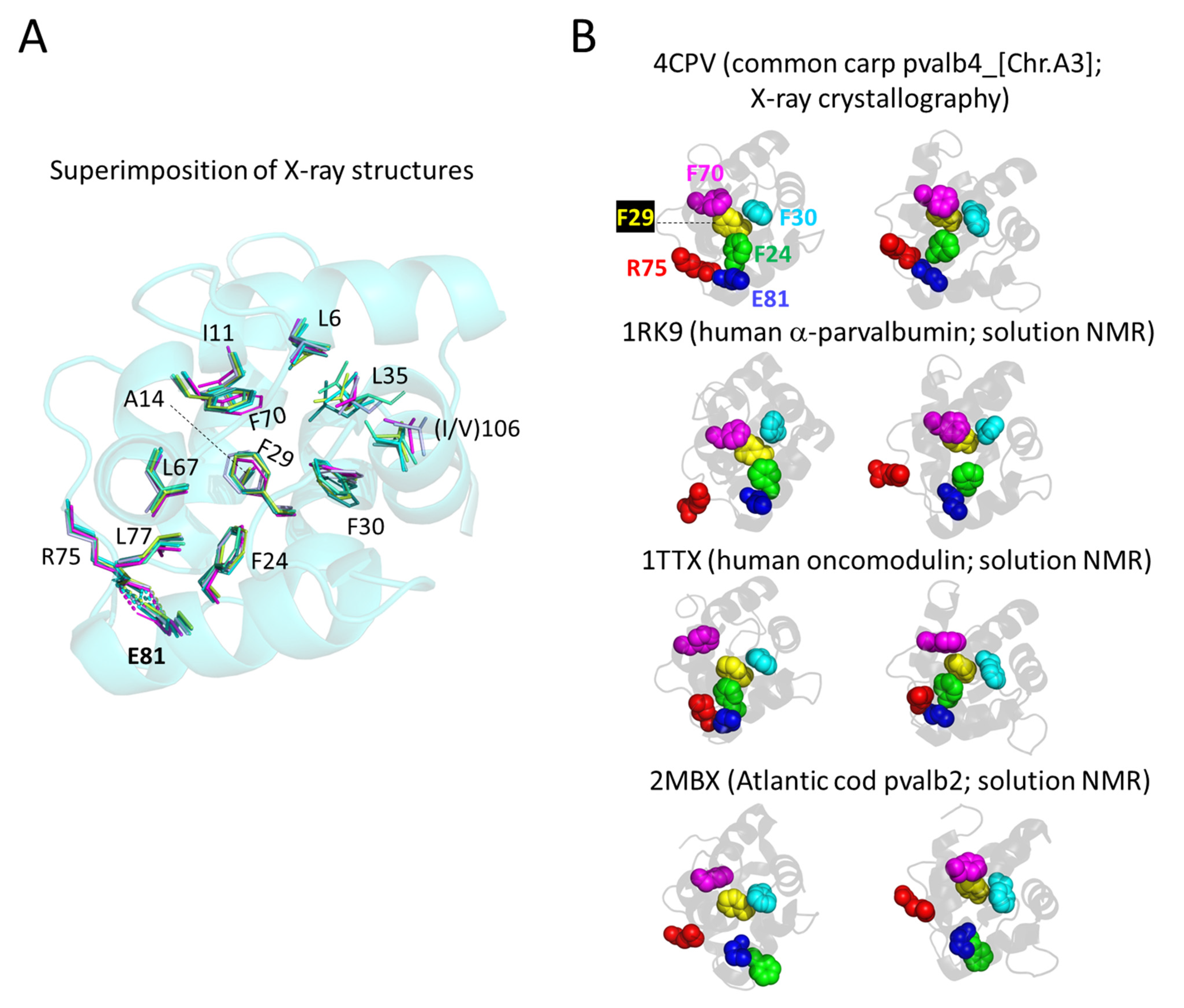 Biology 11 01713 g007