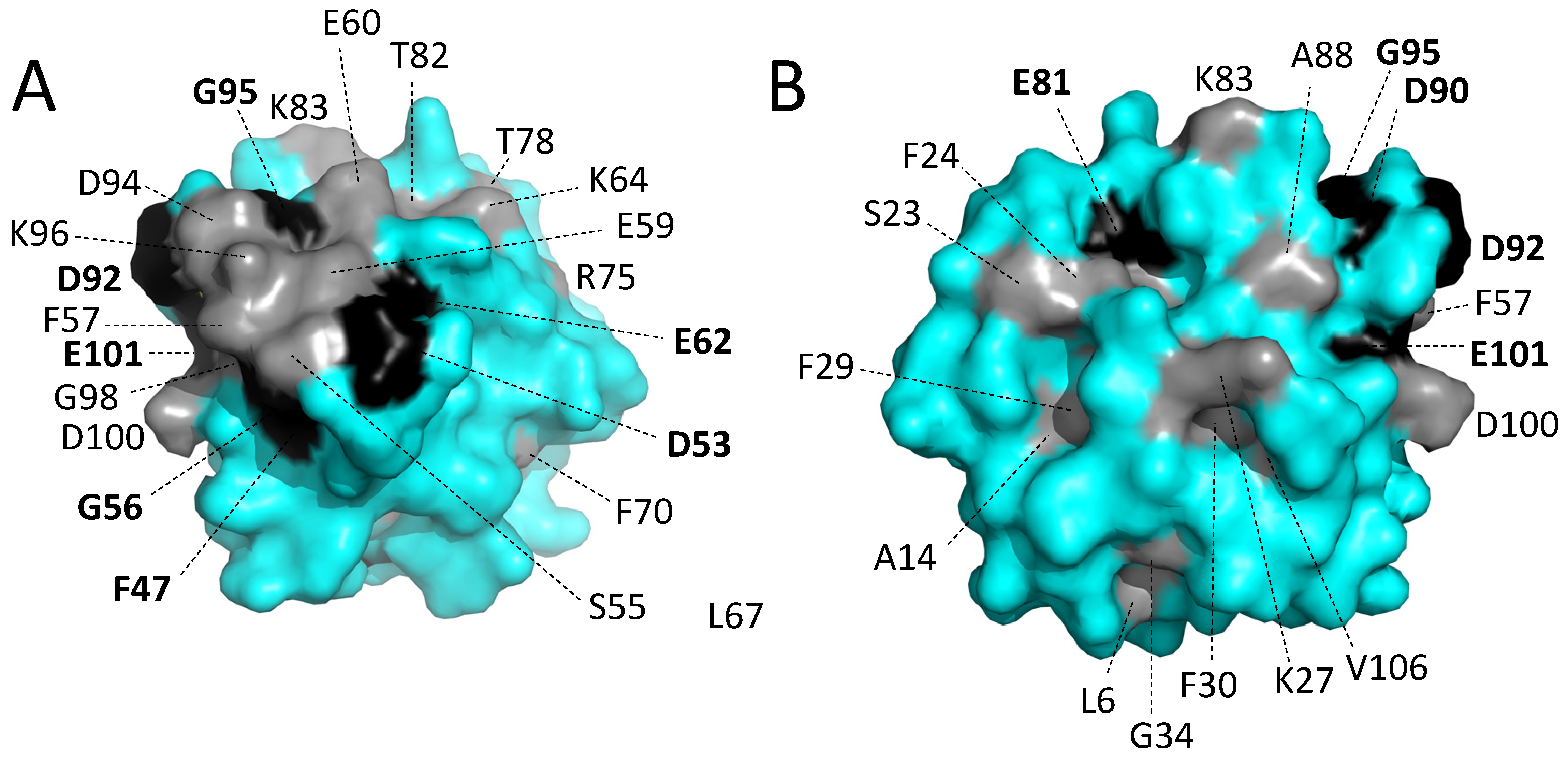 Biology 11 01713 g008