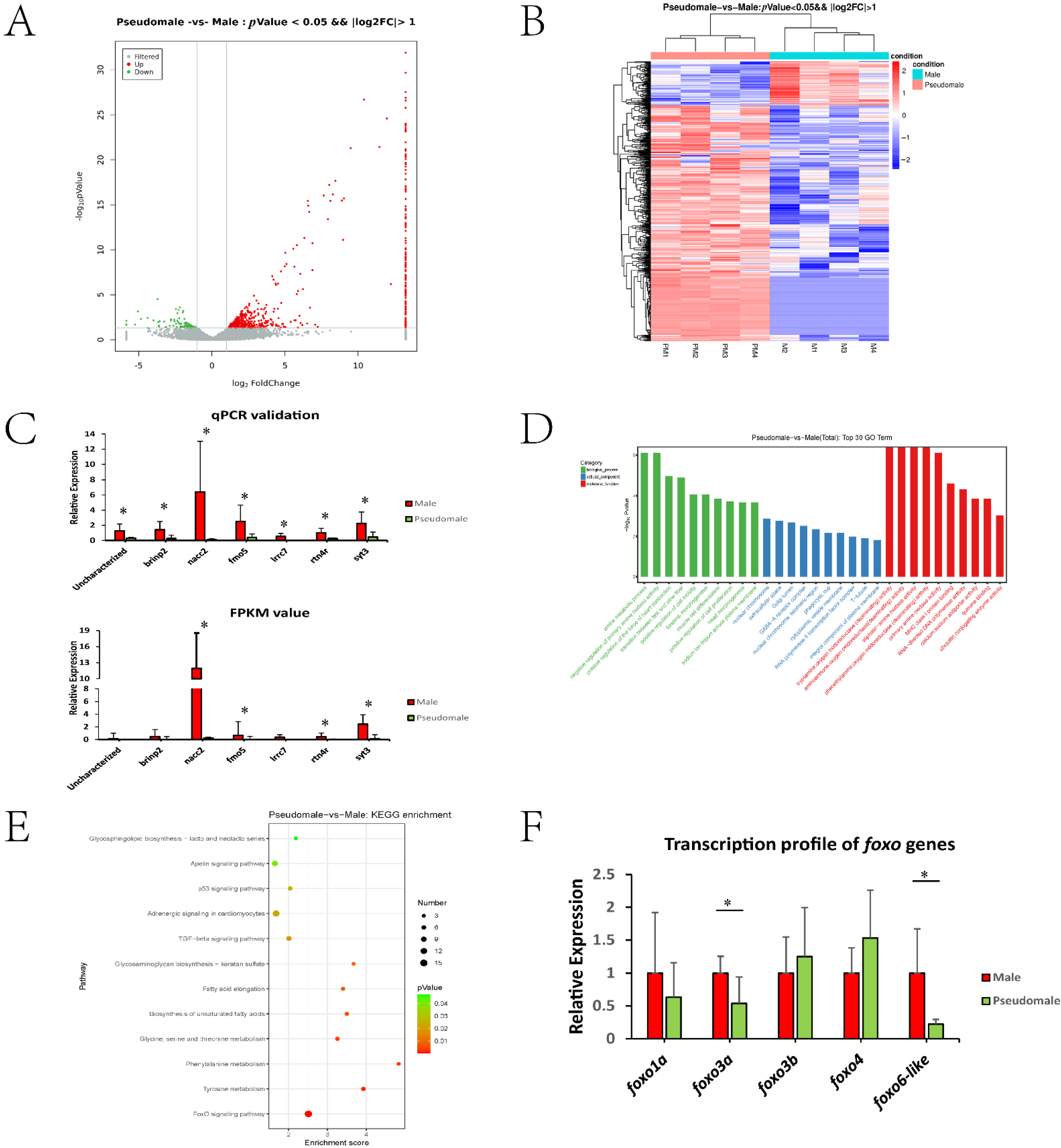 Biology 11 01716 g001 Biology 11 01716 g001