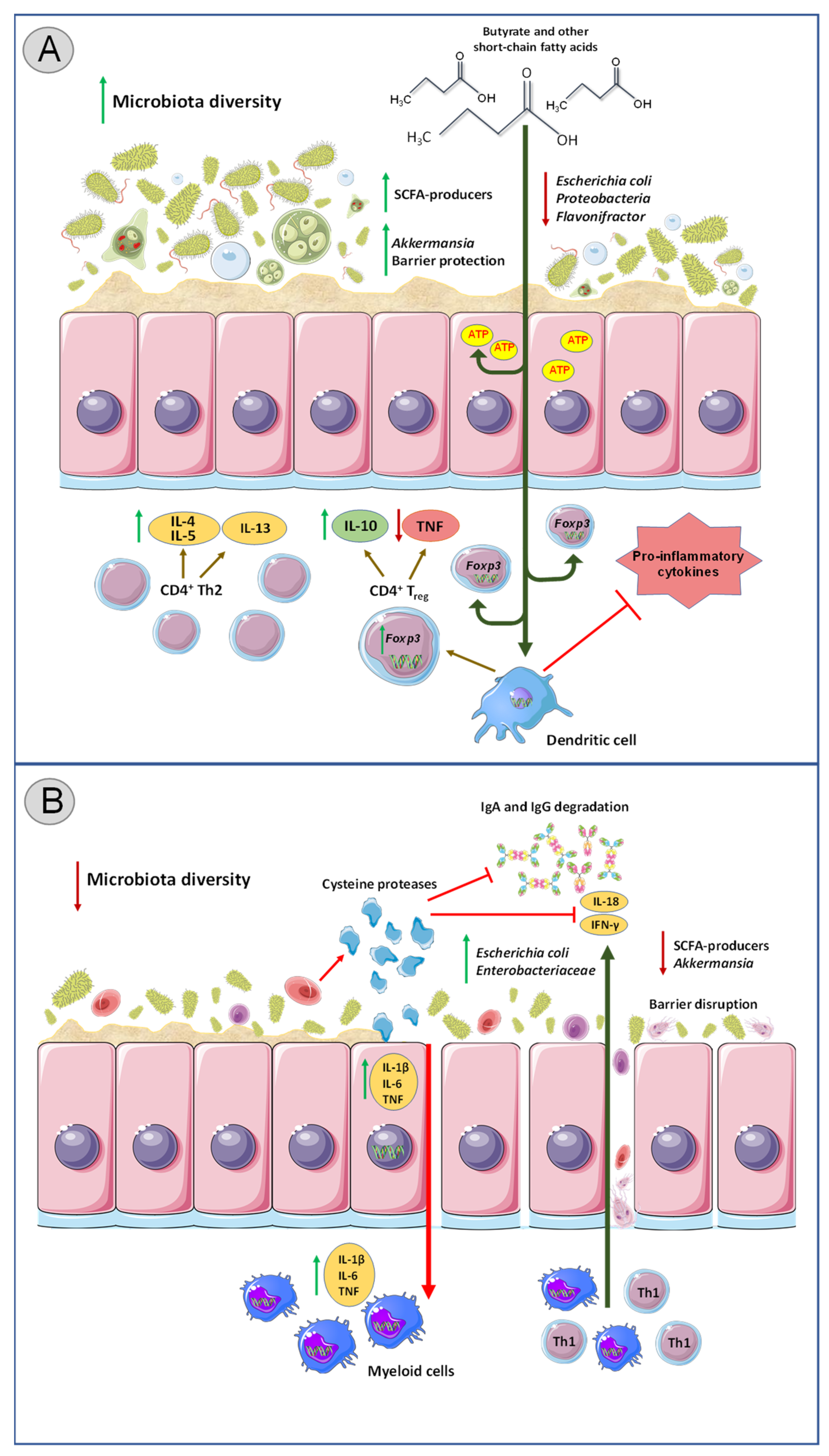 Biology 11 01742 g001 Biology 11 01742 g001