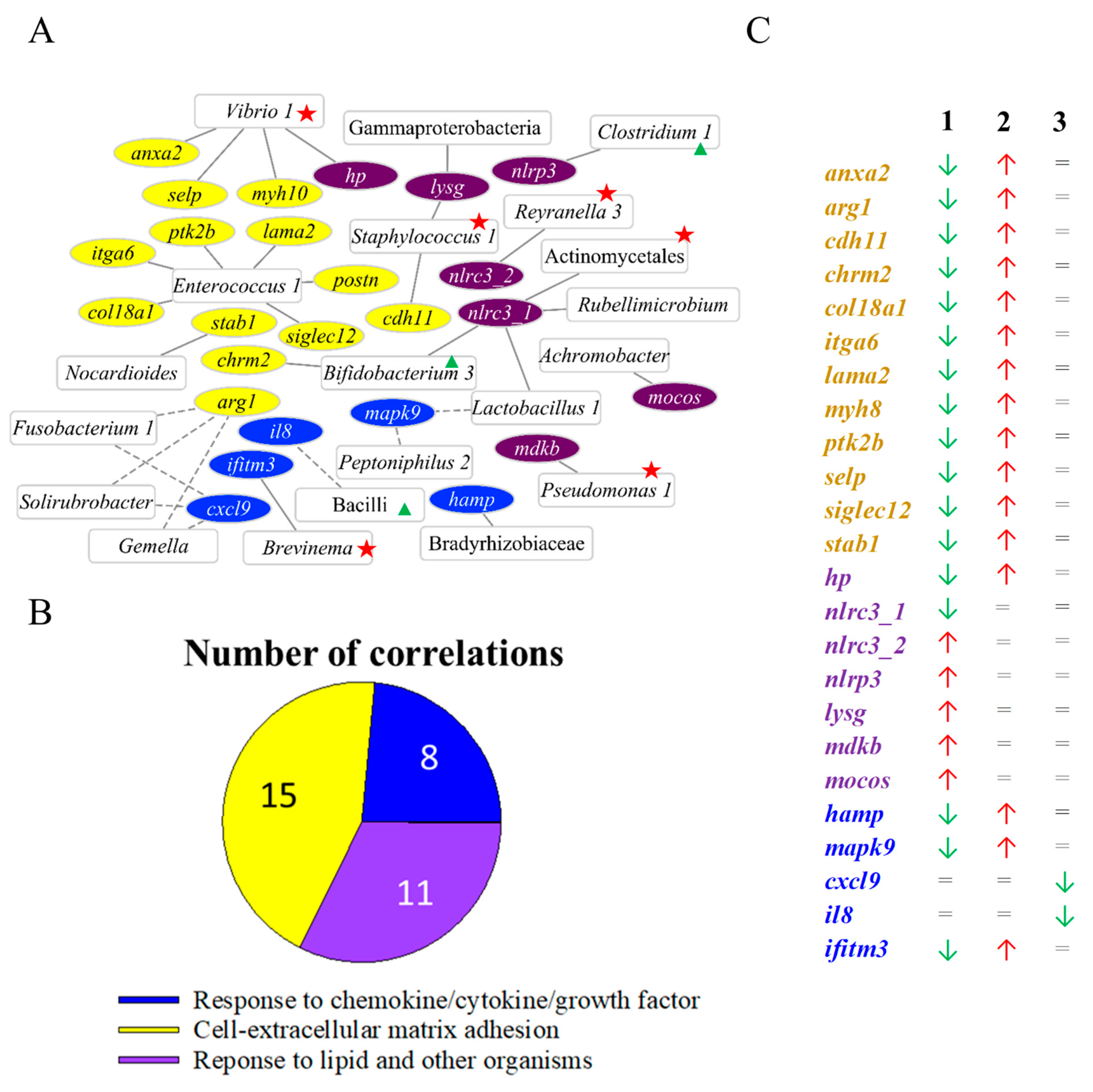 Biology 11 01744 g008 Biology 11 01744 g008