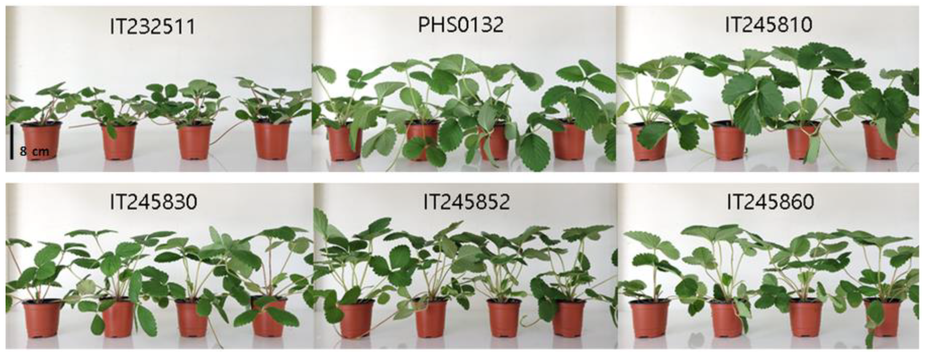Biology 11 01746 g002 Biology 11 01746 g002
