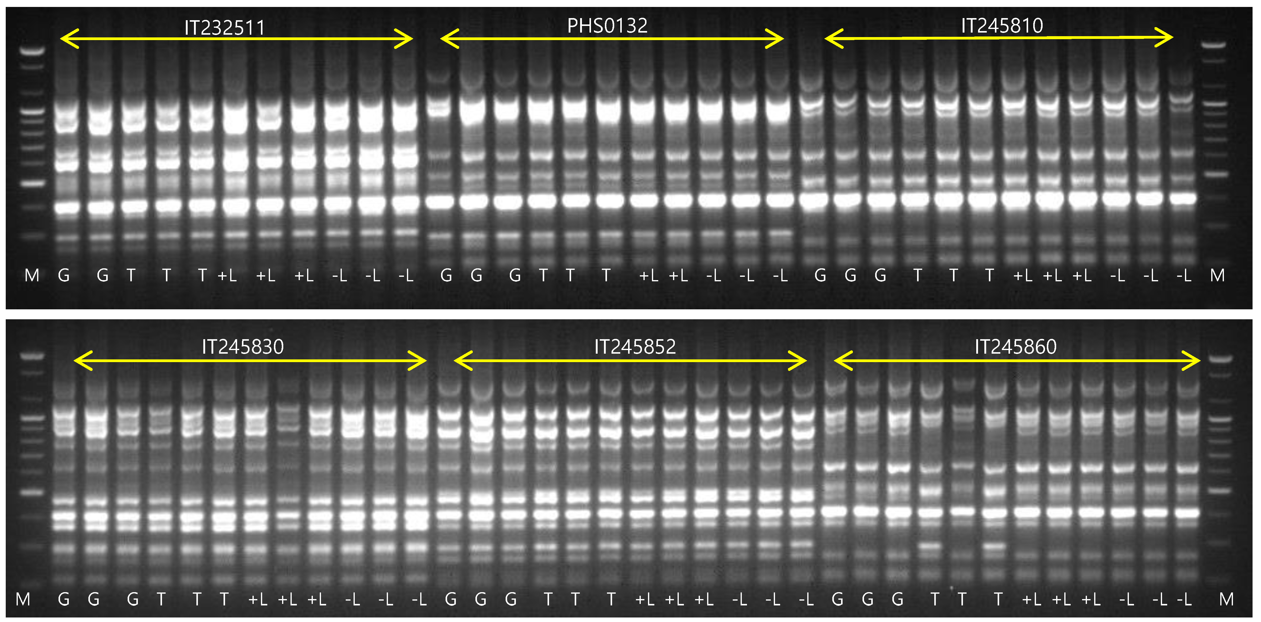 Biology 11 01746 g003 Biology 11 01746 g003