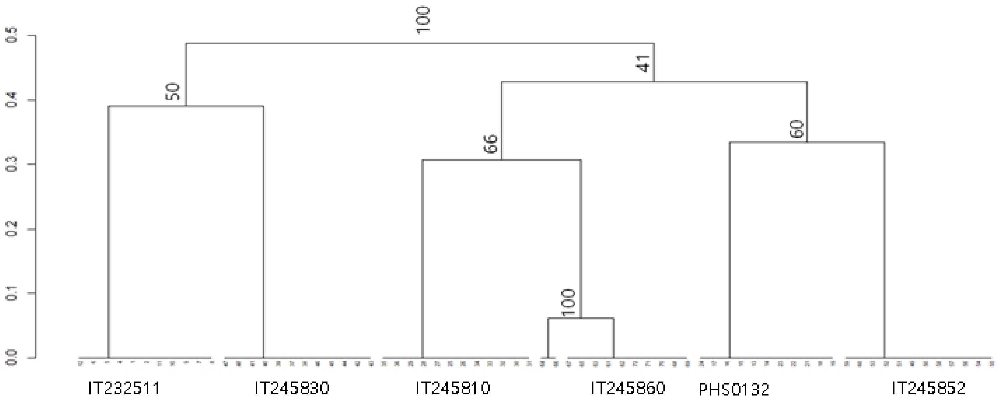 Biology 11 01746 g004 Biology 11 01746 g004