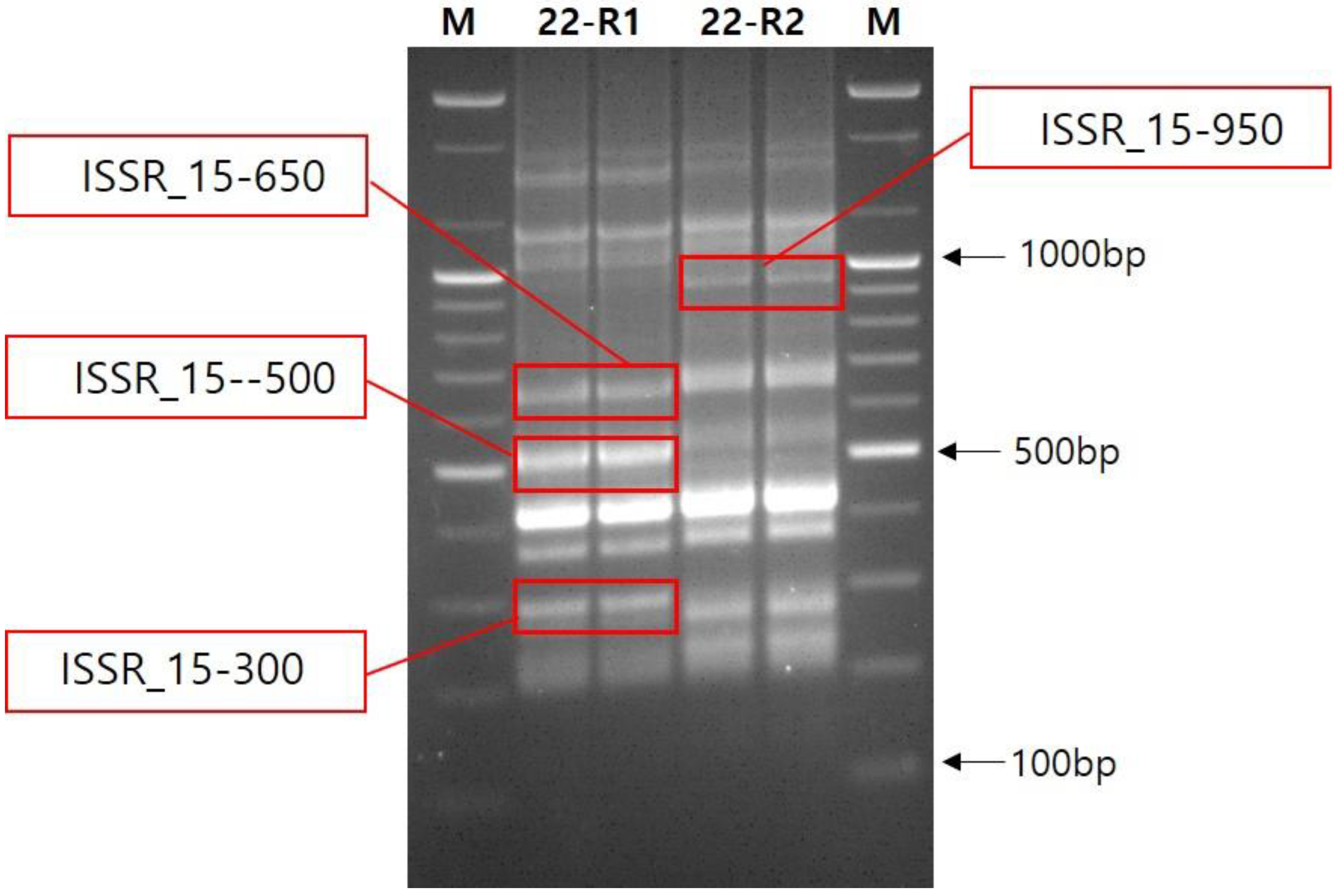 Biology 11 01746 g005 Biology 11 01746 g005