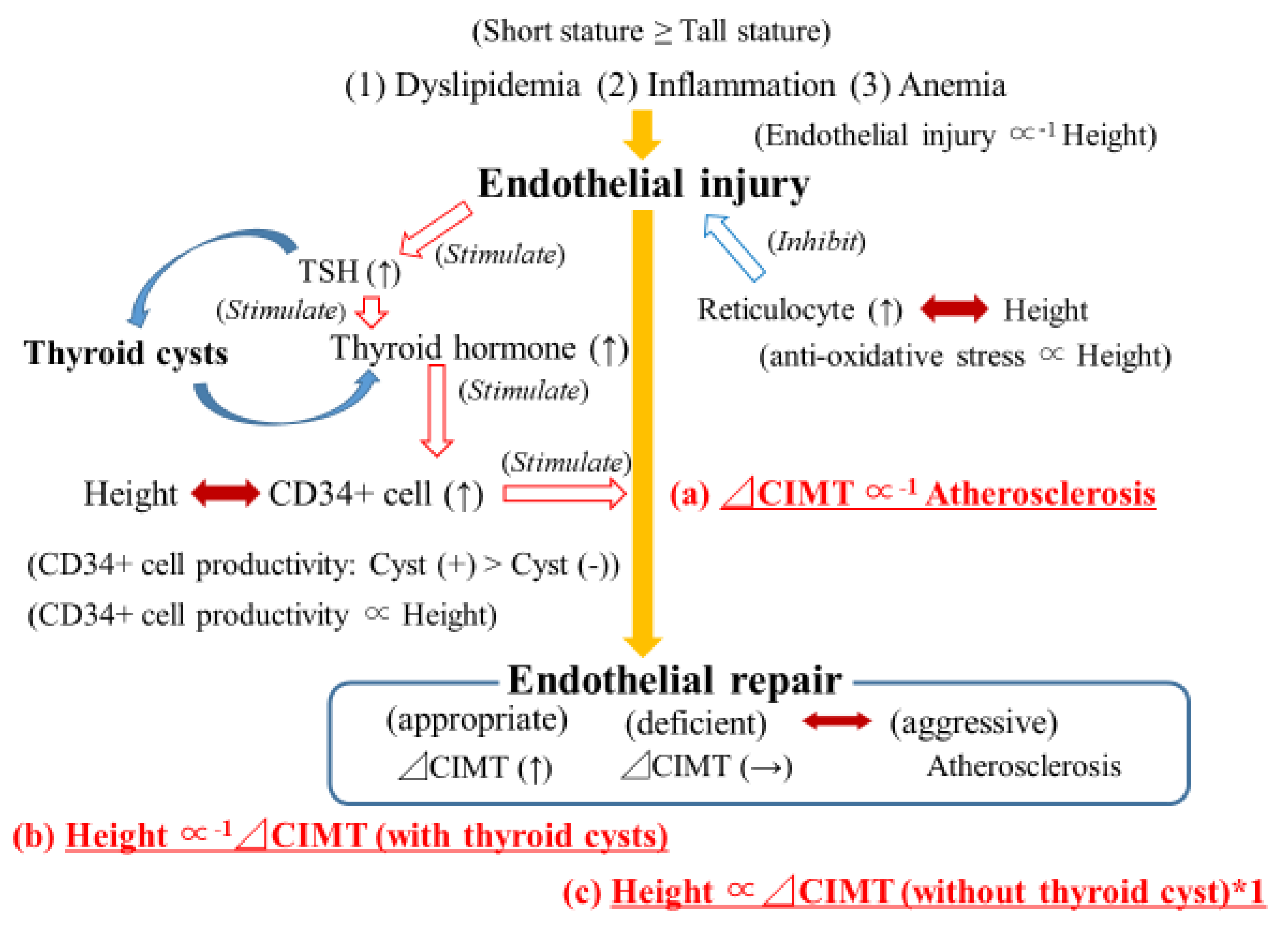 Biology 11 01756 g001 Biology 11 01756 g001