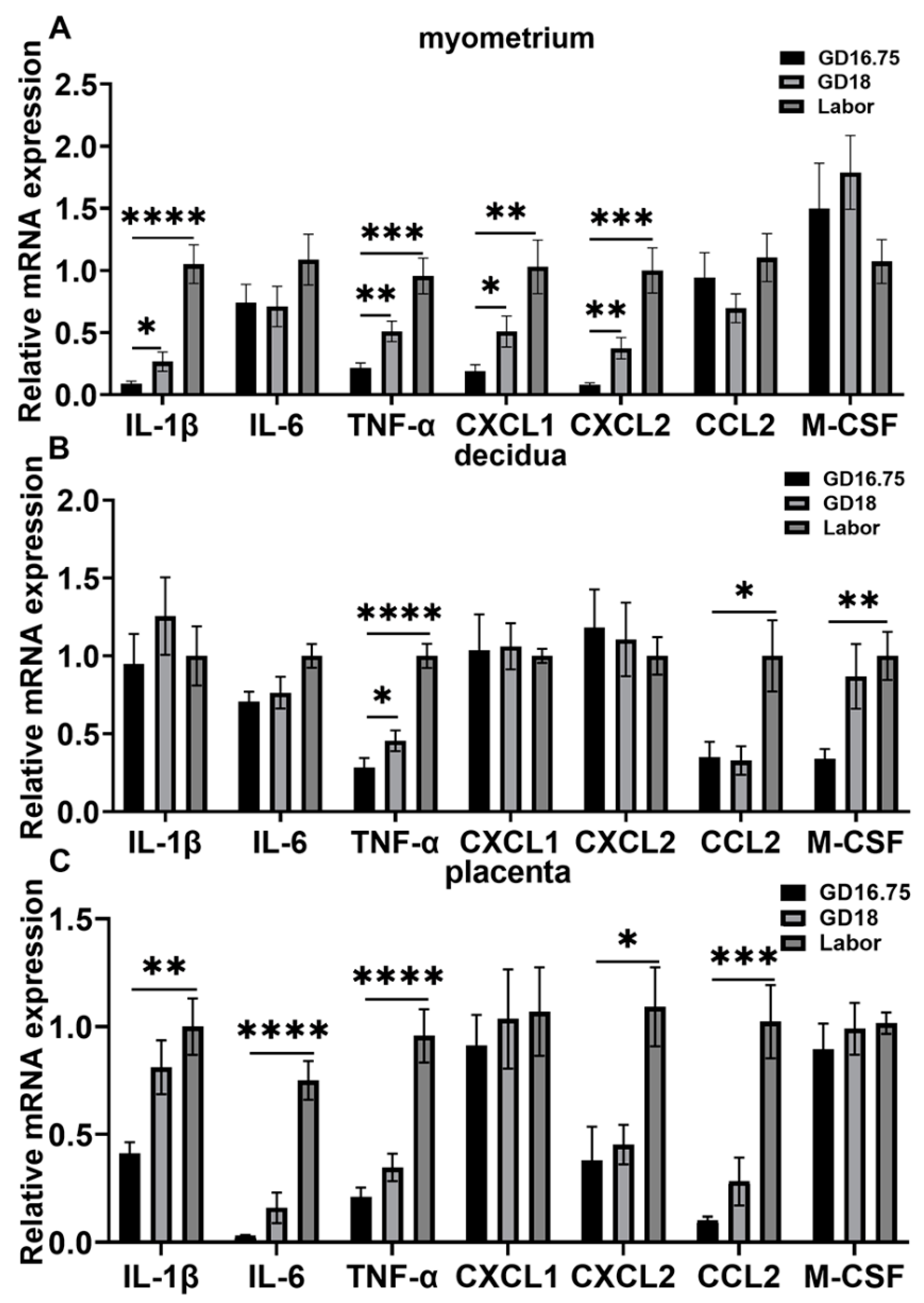 Biology 11 01759 g002 Biology 11 01759 g002